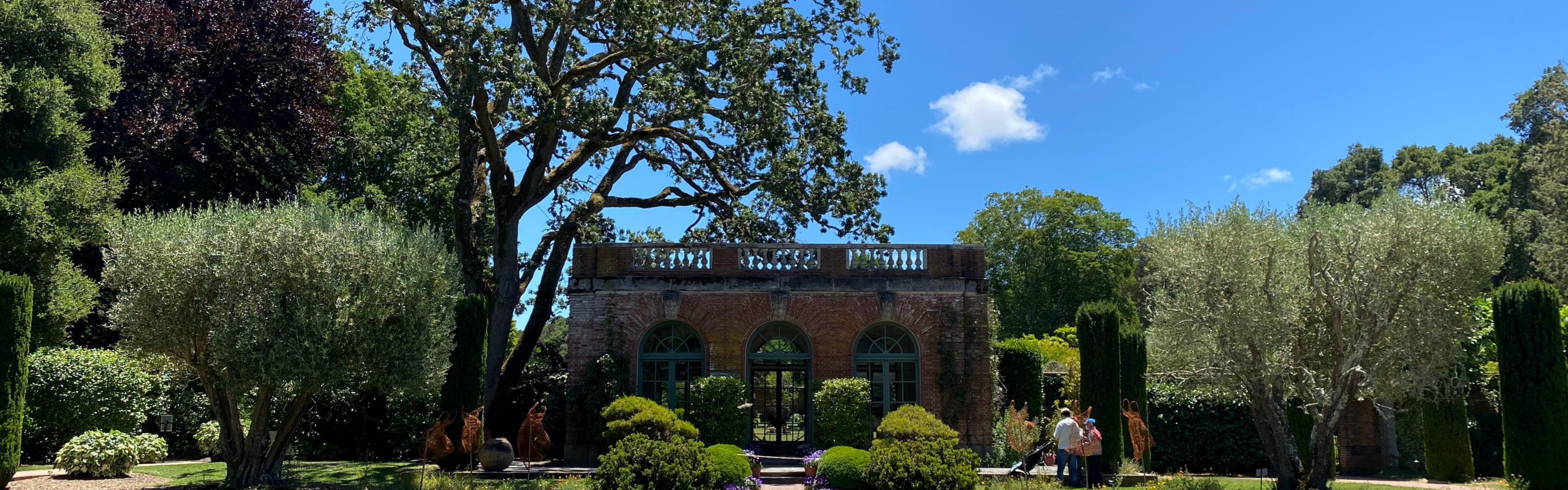 Discover tranquility in every petal at Filoli Gardens.