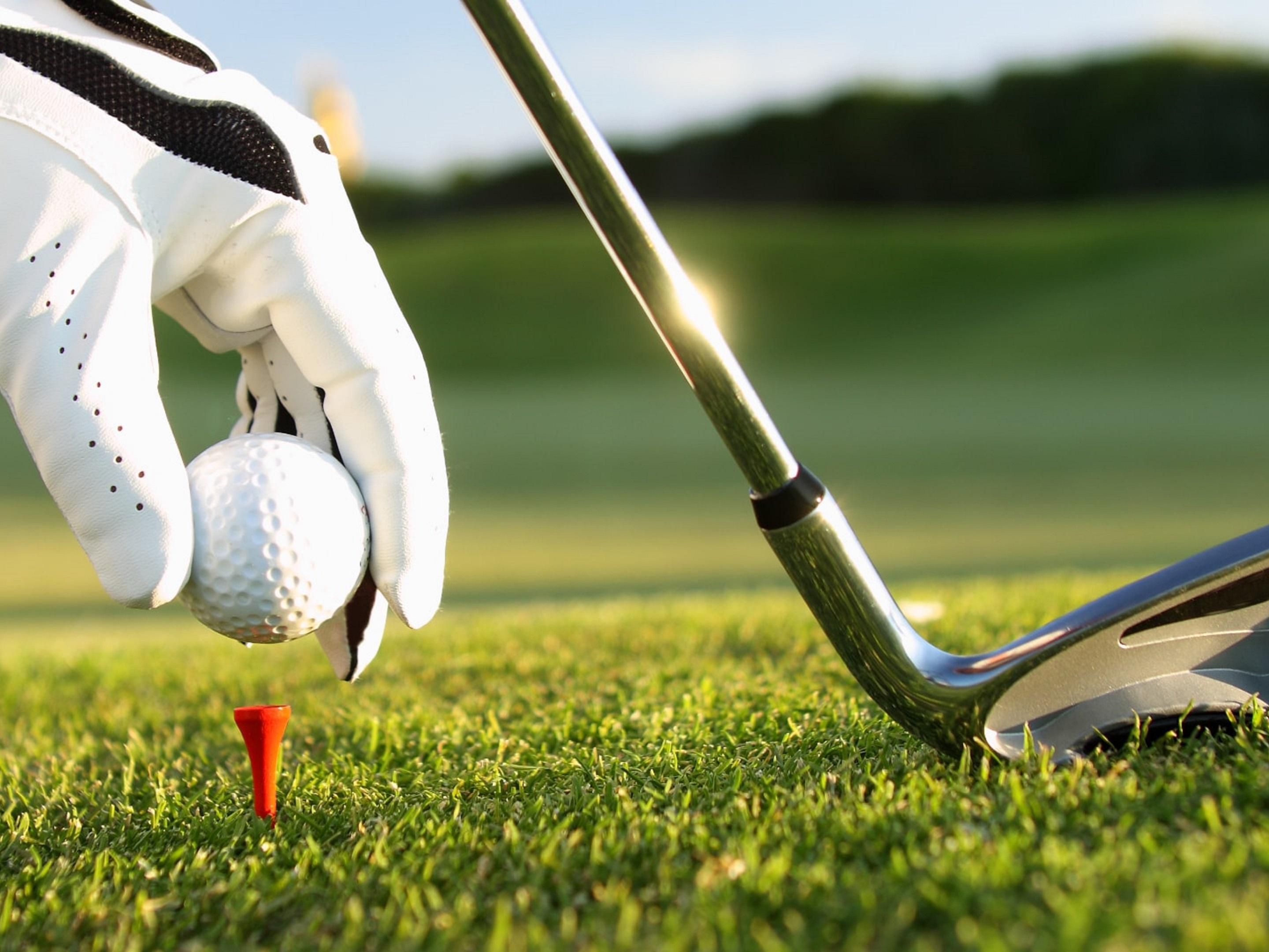 Located 3 miles from the Bethlehem Municipal Golf Course where you can play 18 holes, hit at the driving range or take lessons. Shuttle service to the golf course can be arranged. 