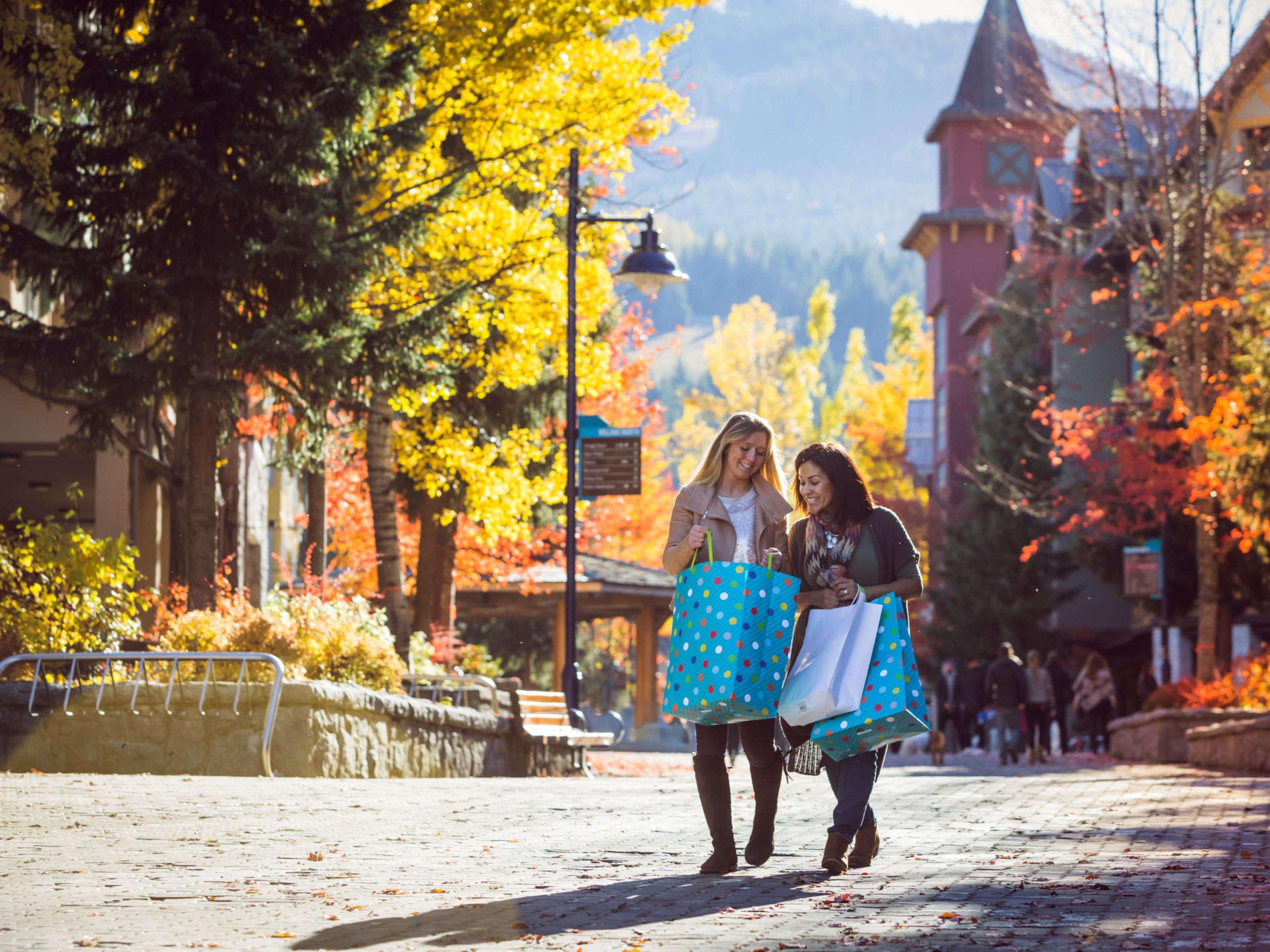 Stay with us and enjoy the The Summit Birmingham! Our hotel is located less than 3 miles from the 1 million square foot shopping center boasting roughly 100 stores and restaurants. 
Shop 'til you drop and spend the evening resting with us! 