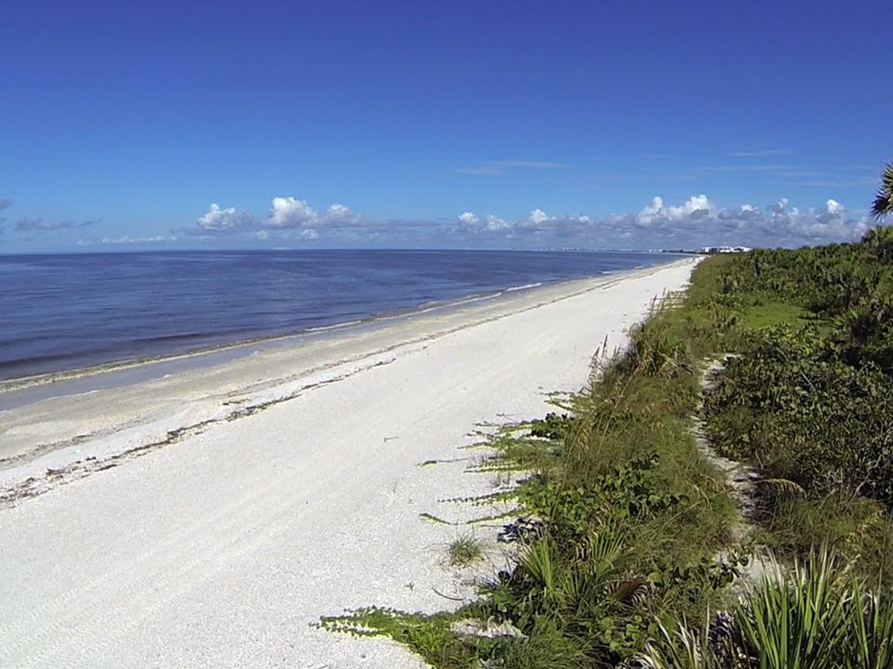 With both beaches just about 2 miles from the hotel, you can have two different experiences! Barefoot Beach Preserve is 342 acres of natural land, one of the last undeveloped barrier islands on Florida's southwest coast, while Bonita Beach offers jet-skiing and parasailing, along with sunset views at Doc's Restaurant. 