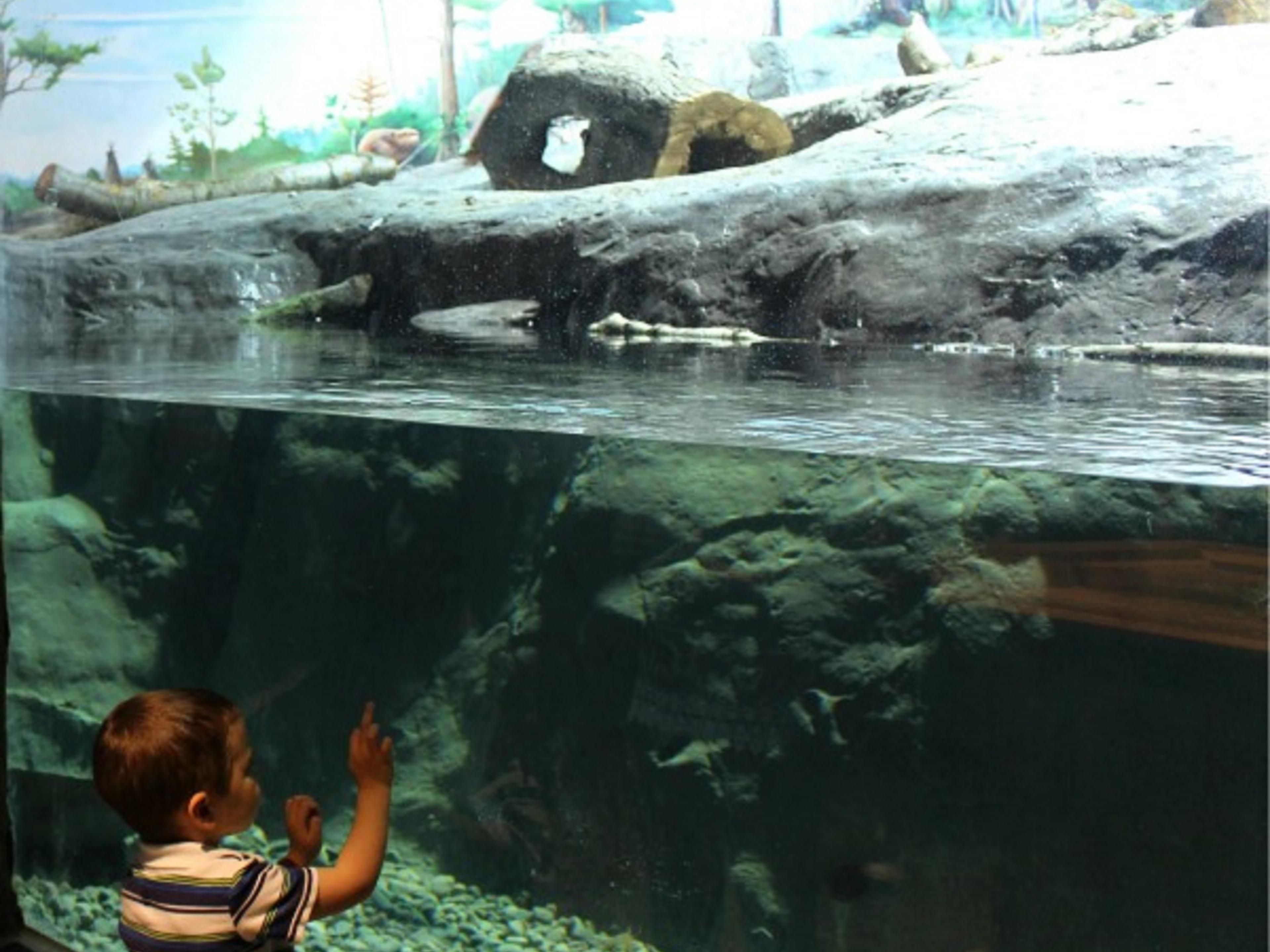 Holiday Inn Express Brockville is perfectly located to explore the region’s beauty and history. Just a short drive to the Thousand Islands, guests can enjoy boating, fishing, and outdoor fun along the St. Lawrence River. Historic downtown offers charming shops and dining, making it ideal for adventure and cultural experiences.