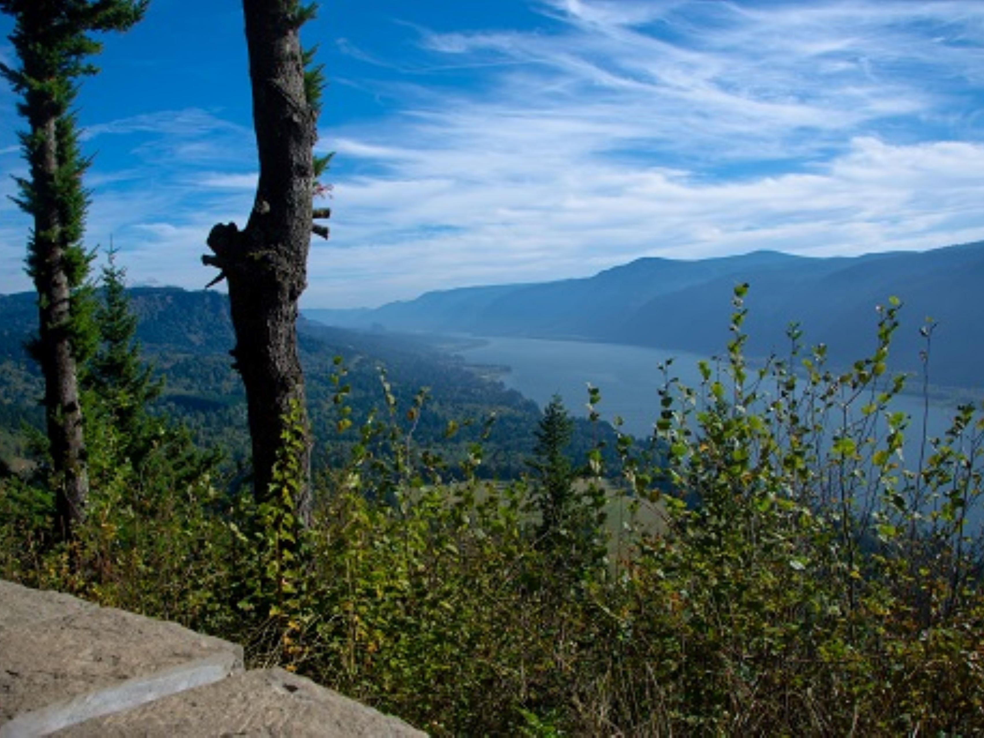 Make sure to take some time during your stay to see the beautiful Columbia River Gorge nearby.