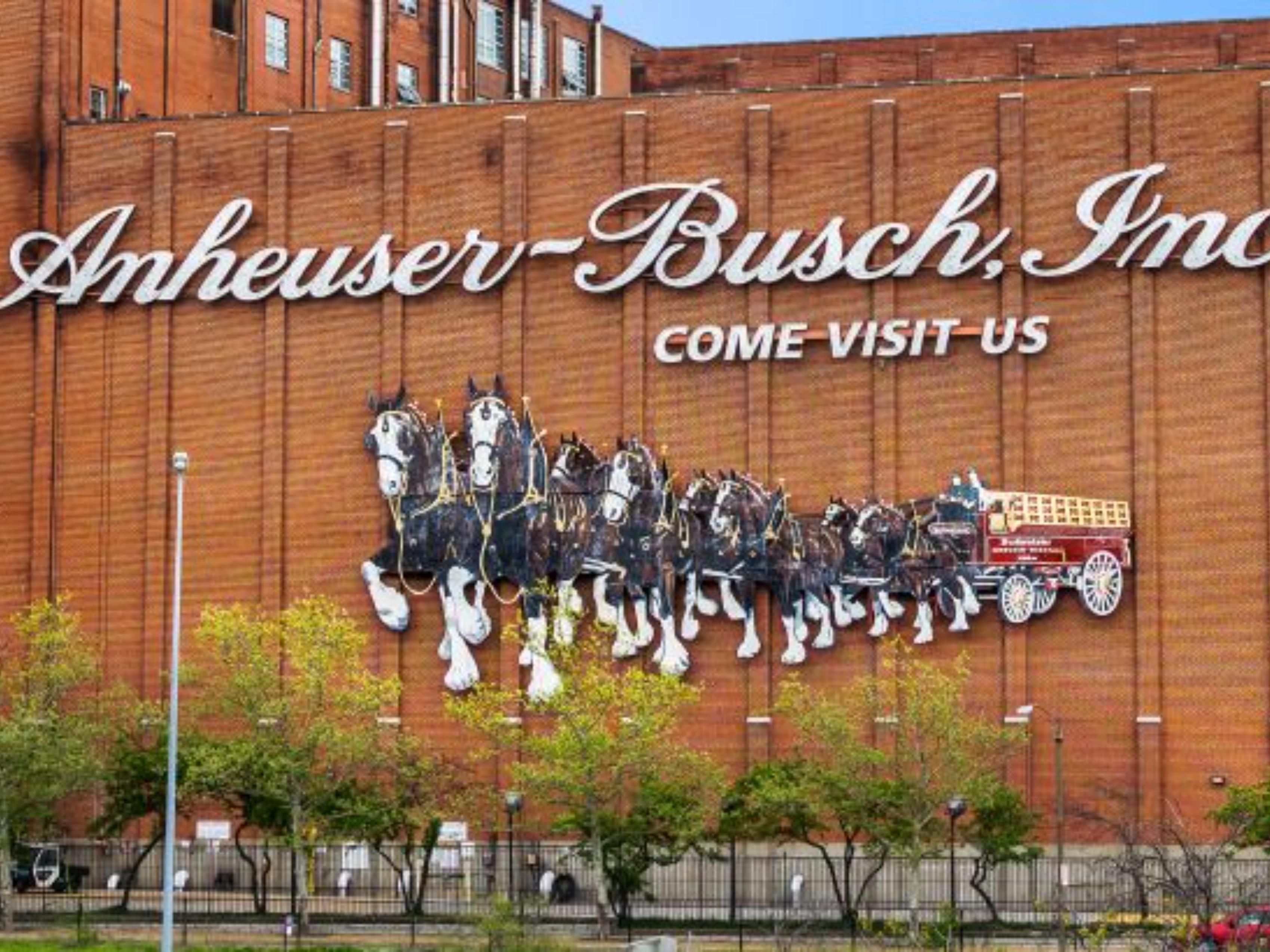 Before you leave St. Louis, take a tour of the Anheuser-Busch brewery! You will learn everything about the process of making and packaging beer, and those over 21 can enjoy free samples of the beers on tap. A quick 30-minute drive from the hotel.