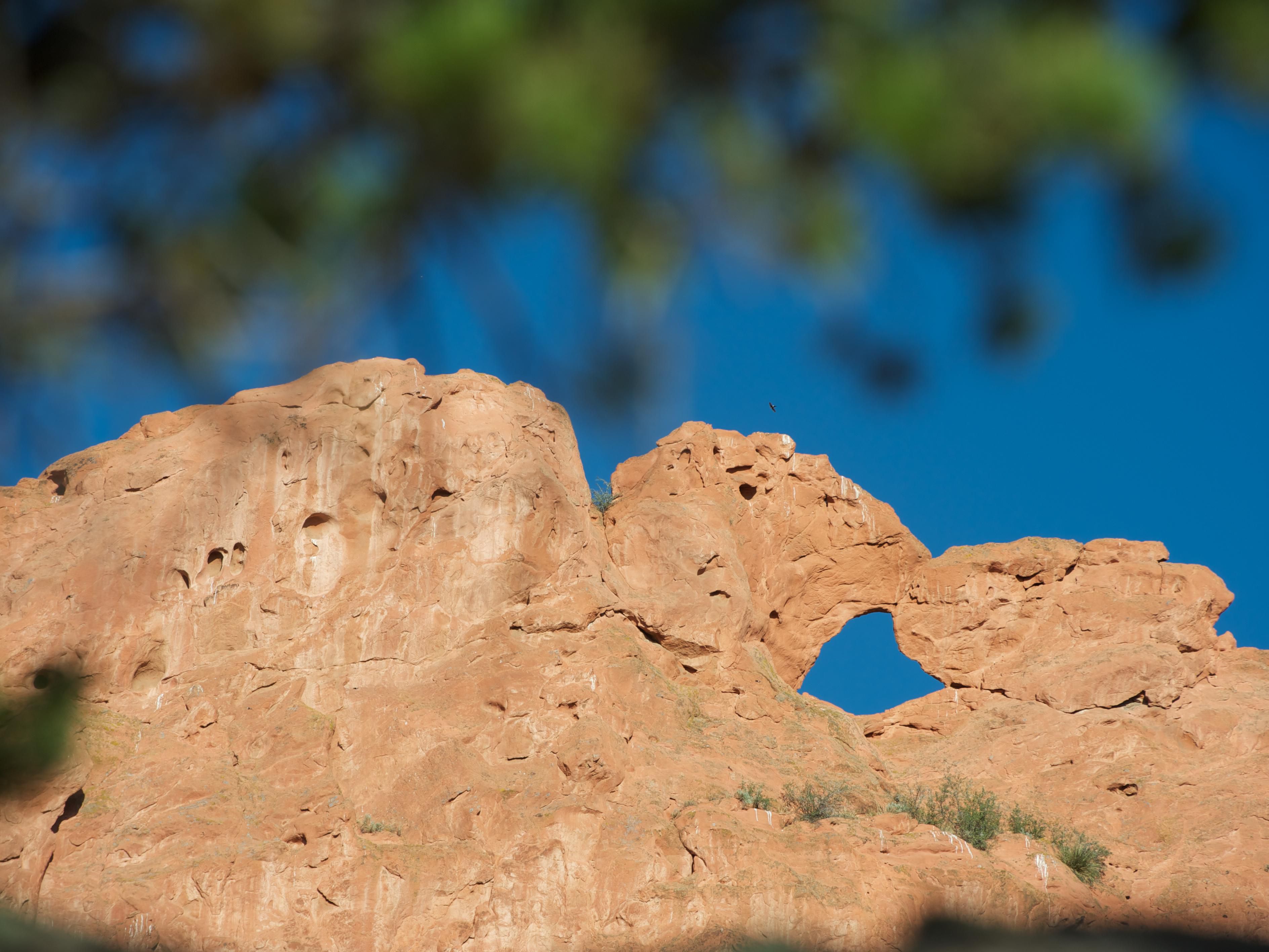 Experience the breathtaking beauty of the Garden of the Gods, which offers free public access and is just a short 10-minute drive from our hotel. 