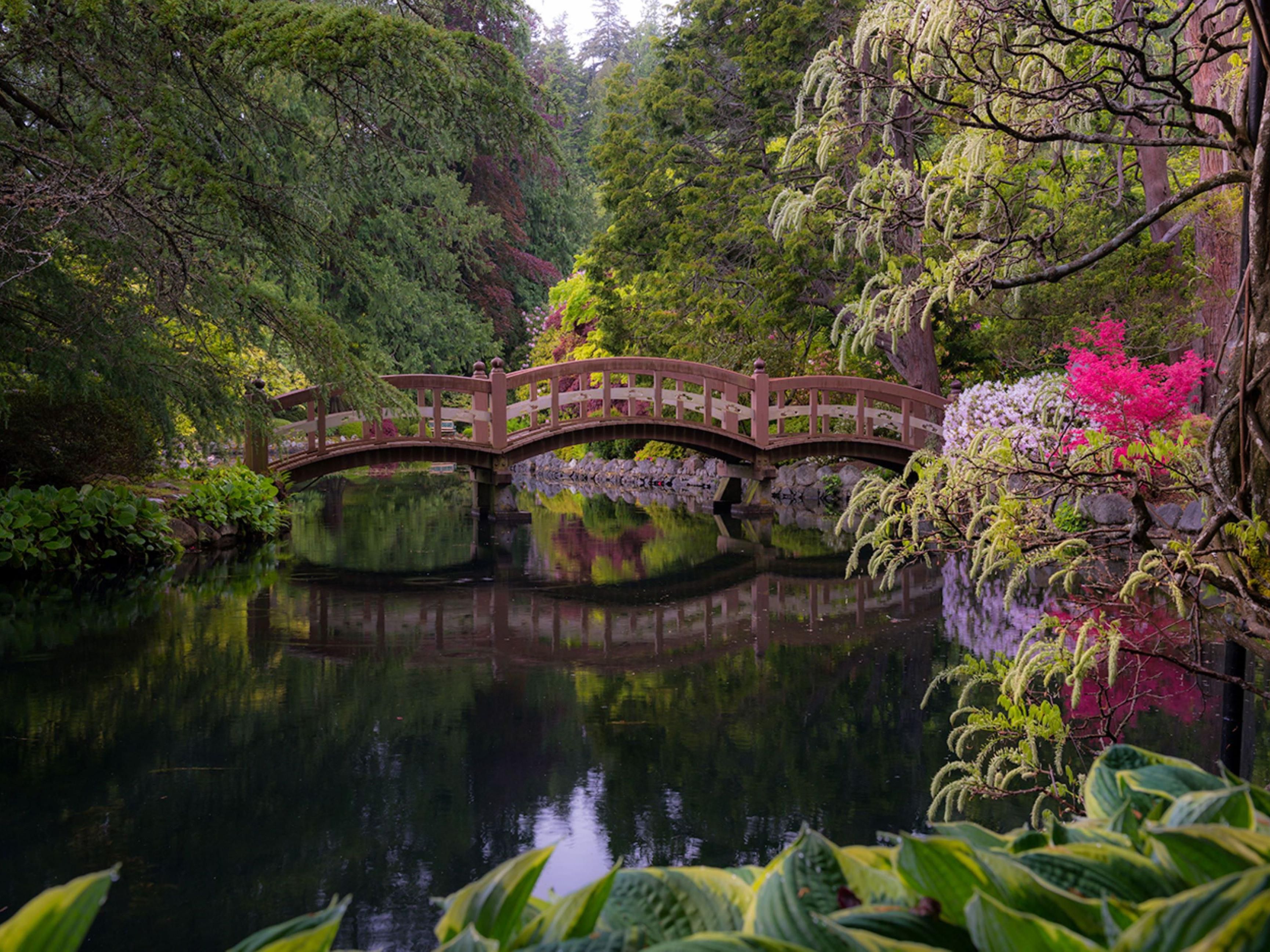Attending a conference or campus event? Holiday Inn Express & Suites Victoria – Colwood is just minutes from Royal Roads University, making it the perfect stay for visiting families, faculty, and guests. Enjoy easy access to Hatley Castle and the scenic university grounds.