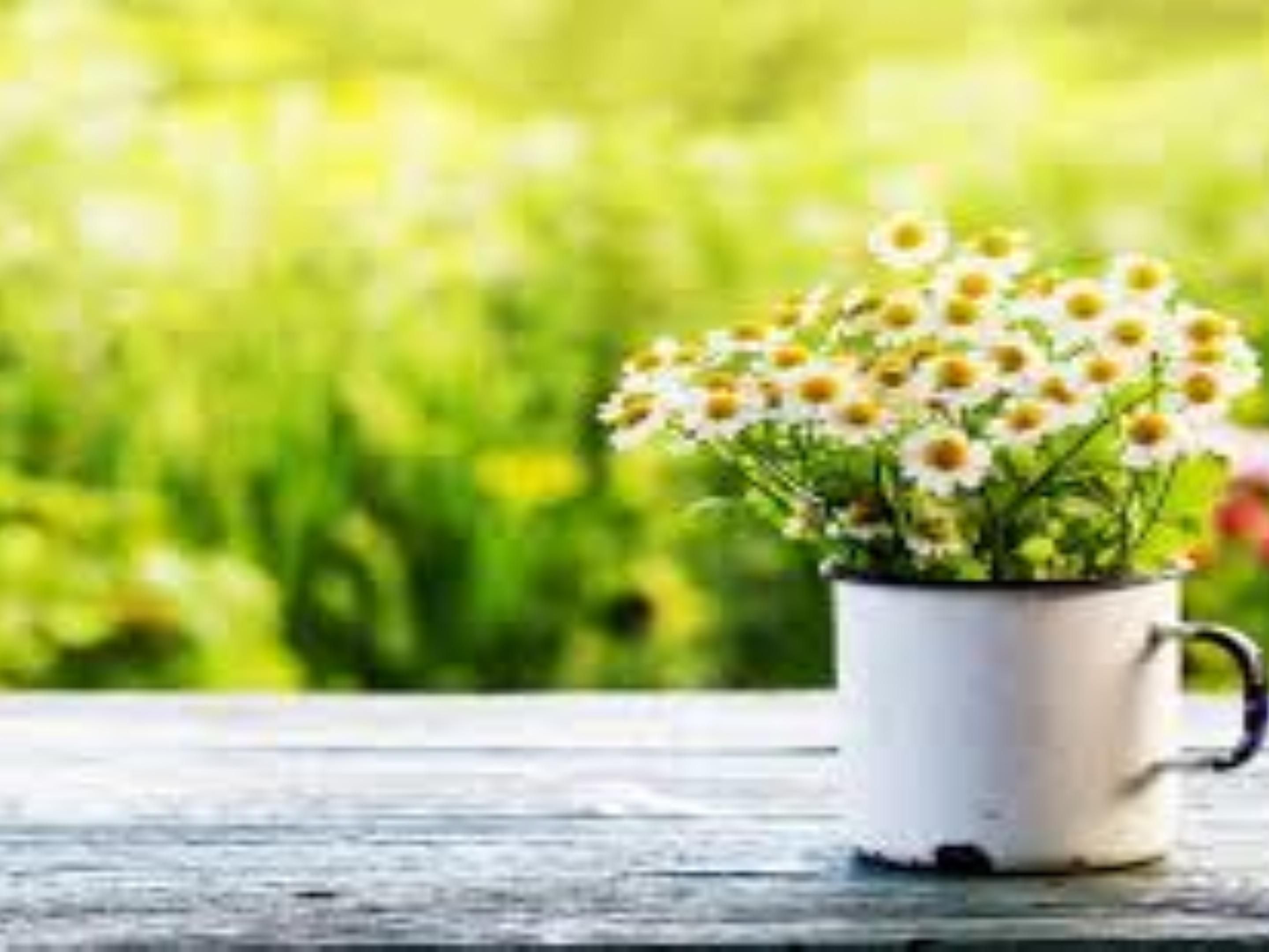 Sometimes it's nice to escape the city for a few hours to connect with nature. We are conveniently located near Woldumar Nature Center, Fenner Nature Center, and the Ledges in Grand Ledge. 