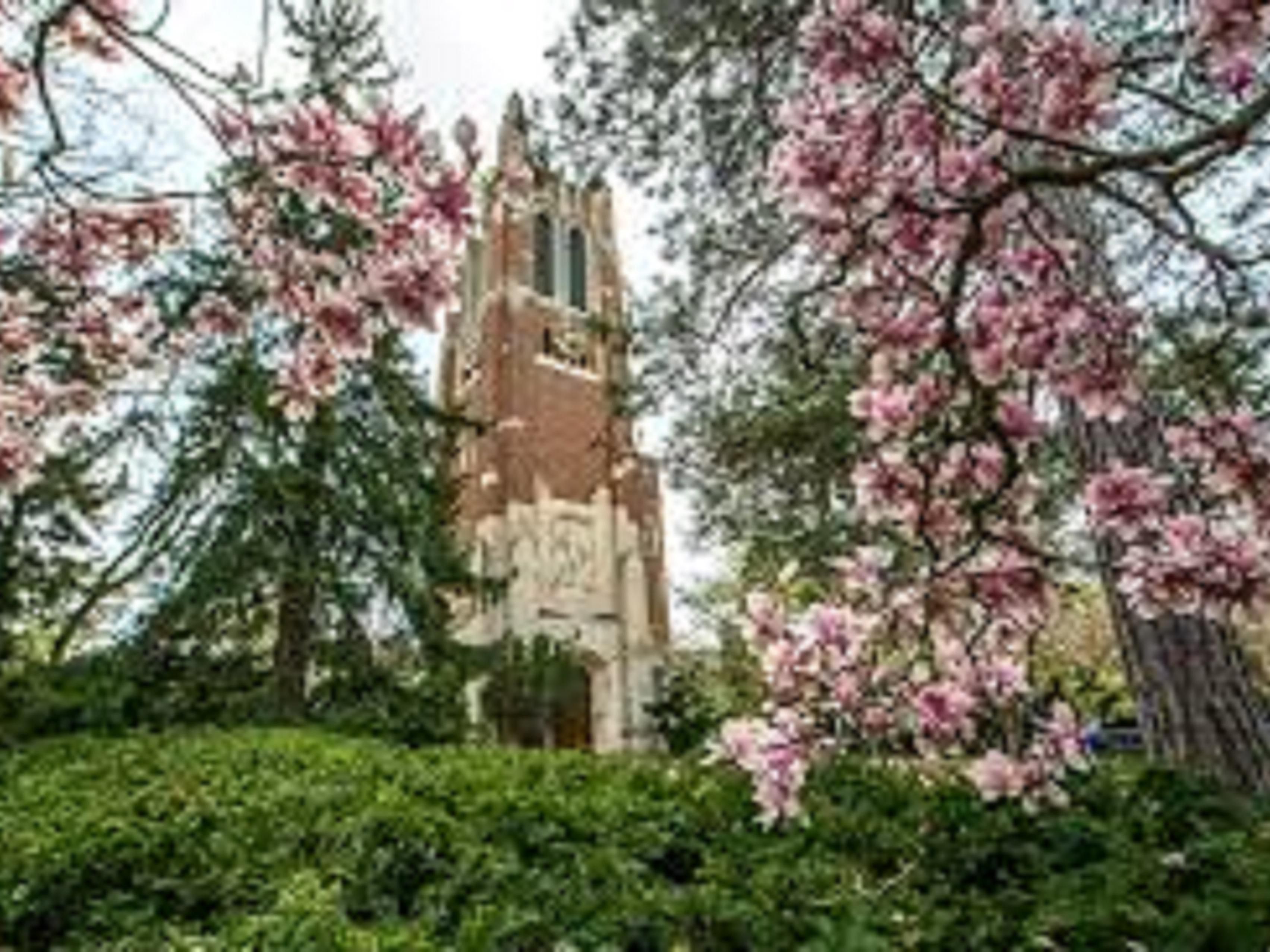 We are located a short drive from Michigan State University where you can attend various sporting events, visit the Wharton Center, MSU Dairy Store, Abrams Planetarium, and the art museum.