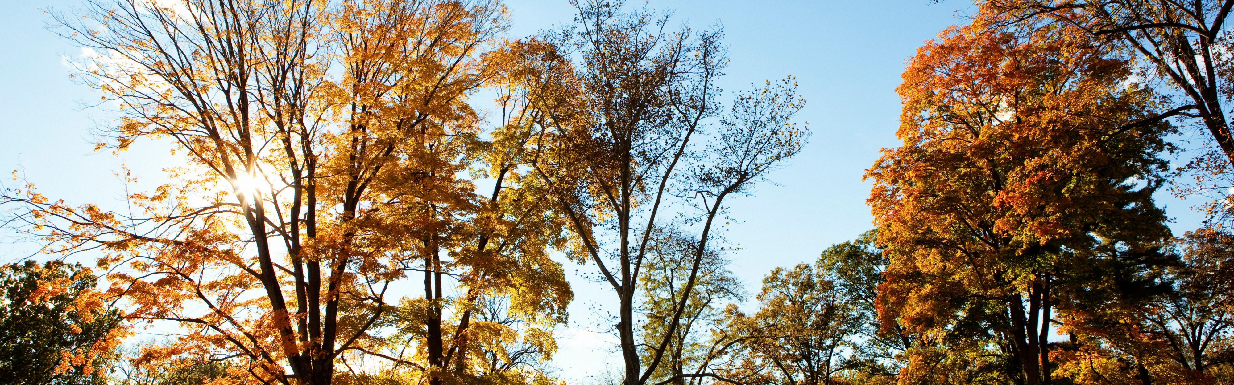 Enjoy the beauty of Valley Forge National Historical Park nearby.