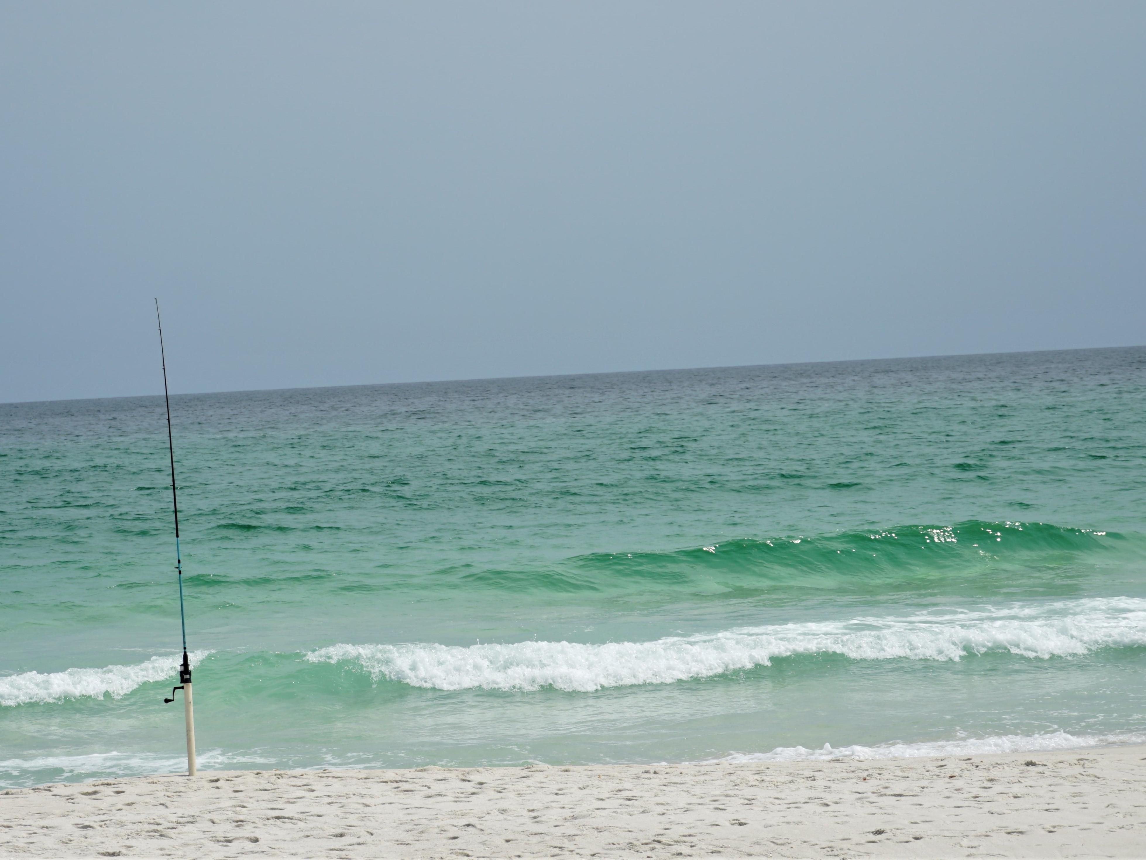 Enjoy the best of both worlds with our location between Downtown Pensacola and Pensacola Beach. We’re just 1.5 miles from the beach, making it easy to relax on the sand, explore local attractions, and experience everything Pensacola has to offer.