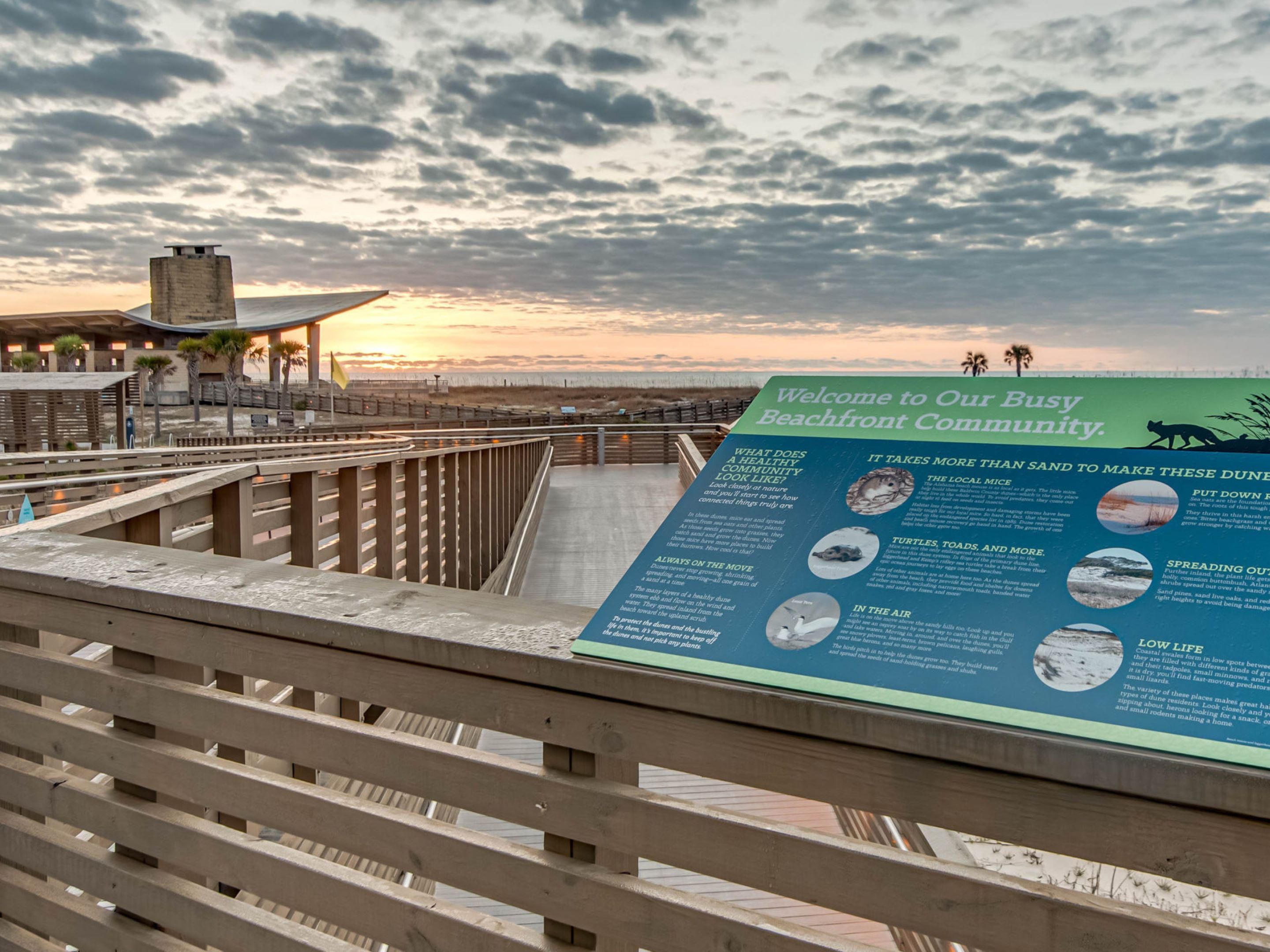 Gulf State Park has two miles of beaches, a spacious campground and a brand new Lodge to greet you. Yes, we have gorgeous white sand, surging surf, seagulls and a variety of activities, but there is more than sand and surf to sink your toes into.