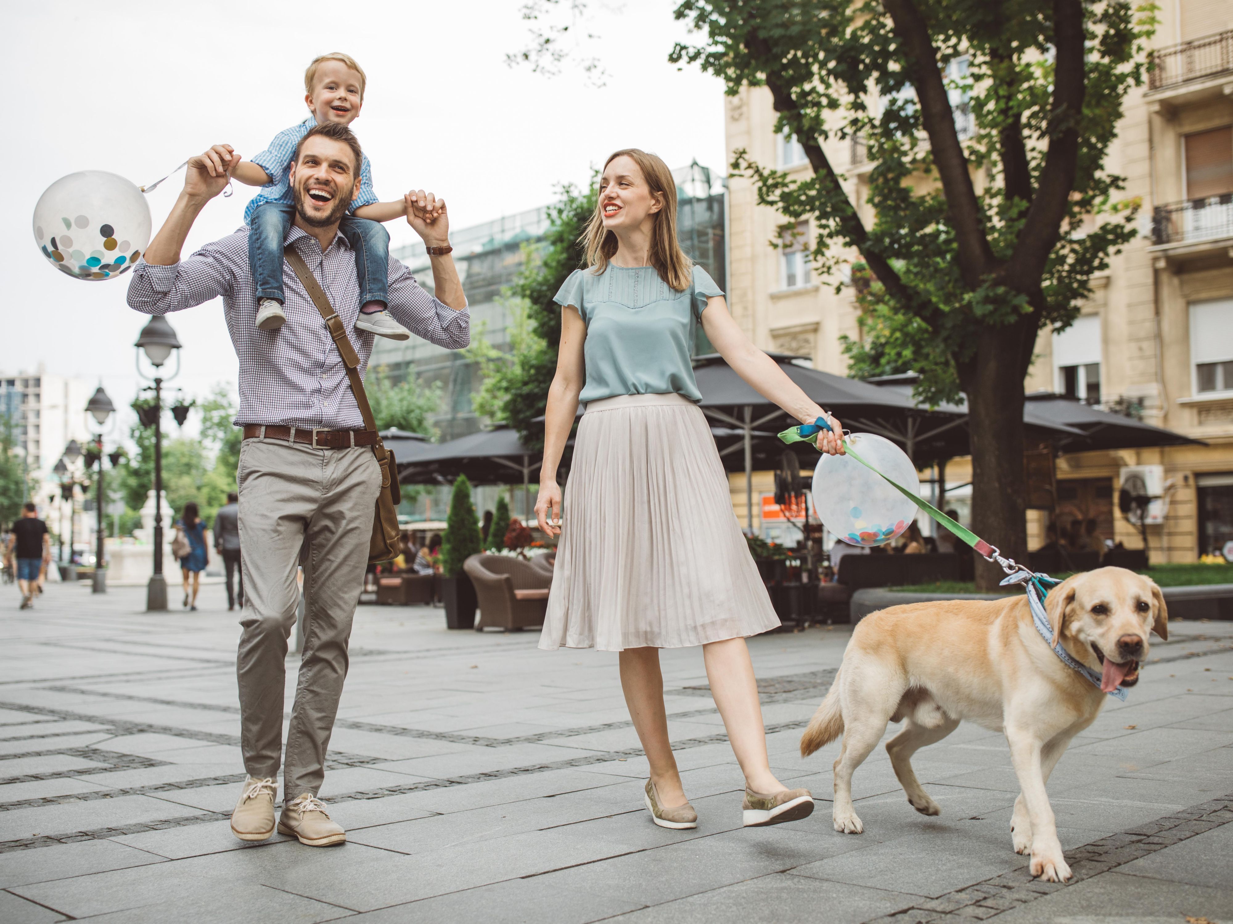 Our pet-friendly hotel welcomes your four-legged friends to Halifax, where you and your canine companion can delight in scenic strolls along the Historic Halifax Waterfront and in outdoor havens like Bayer's Lake Park. With a weight limit of 50 lbs. and a 20 CAD per night pet fee, you and your pet are sure to have a tail-wagging good time.