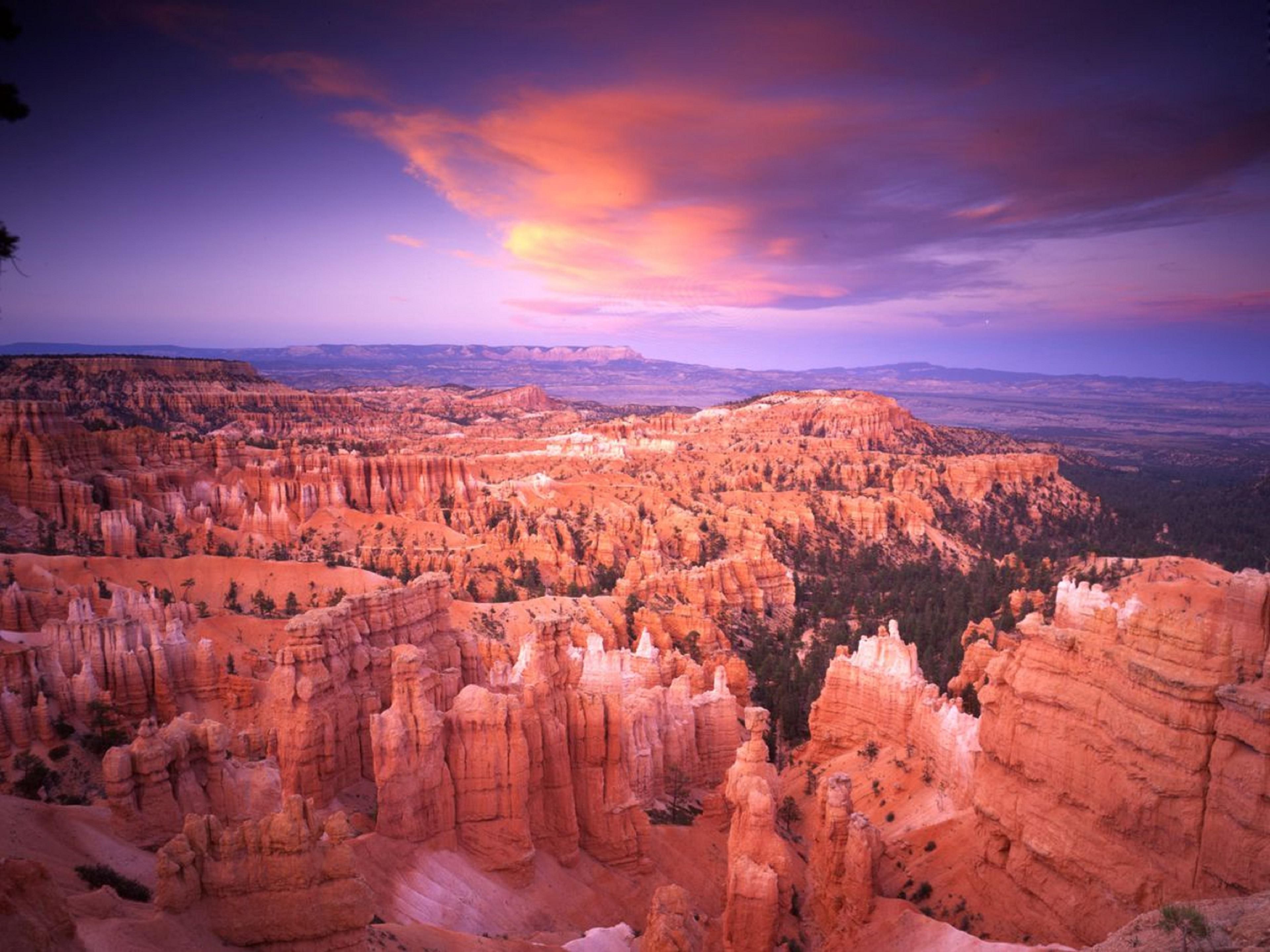 Stay in the heart of the Southern Utah desert when you book a suite at our Kanab hotel. We’re perfectly positioned near Zion National Park, Bryce Canyon National Park, and the North Rim of the Grand Canyon. Coral Pink Sand Dunes State Park is nearby, too, along with numerous caves, cliffs, and hiking trails to explore.