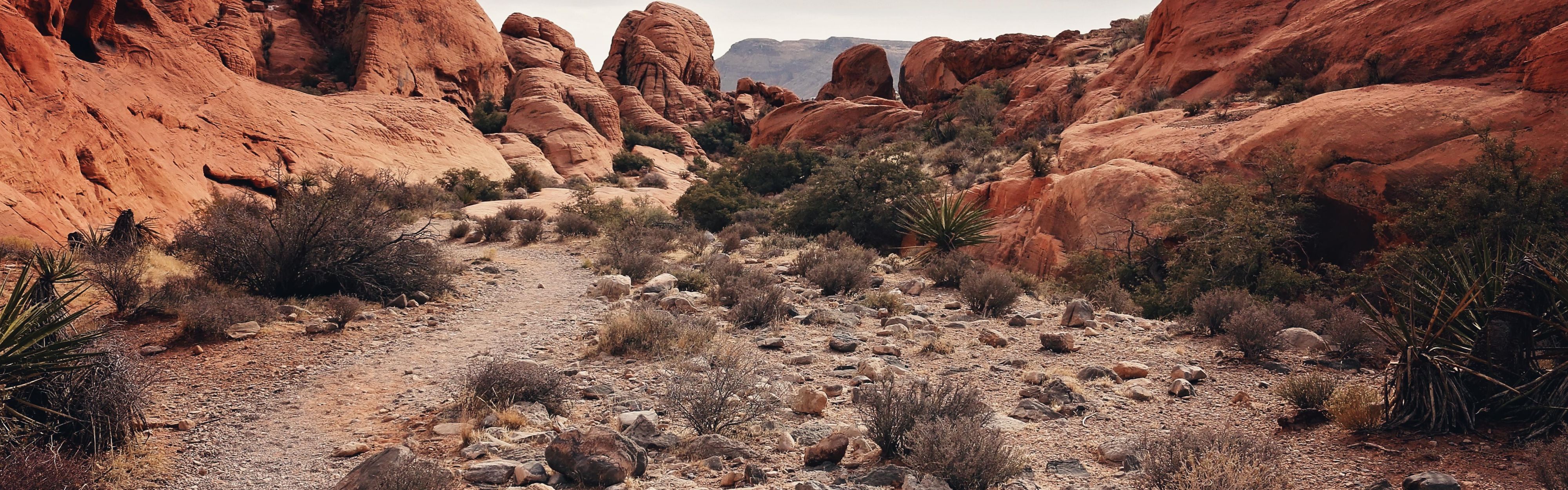 Red Rock Canyon