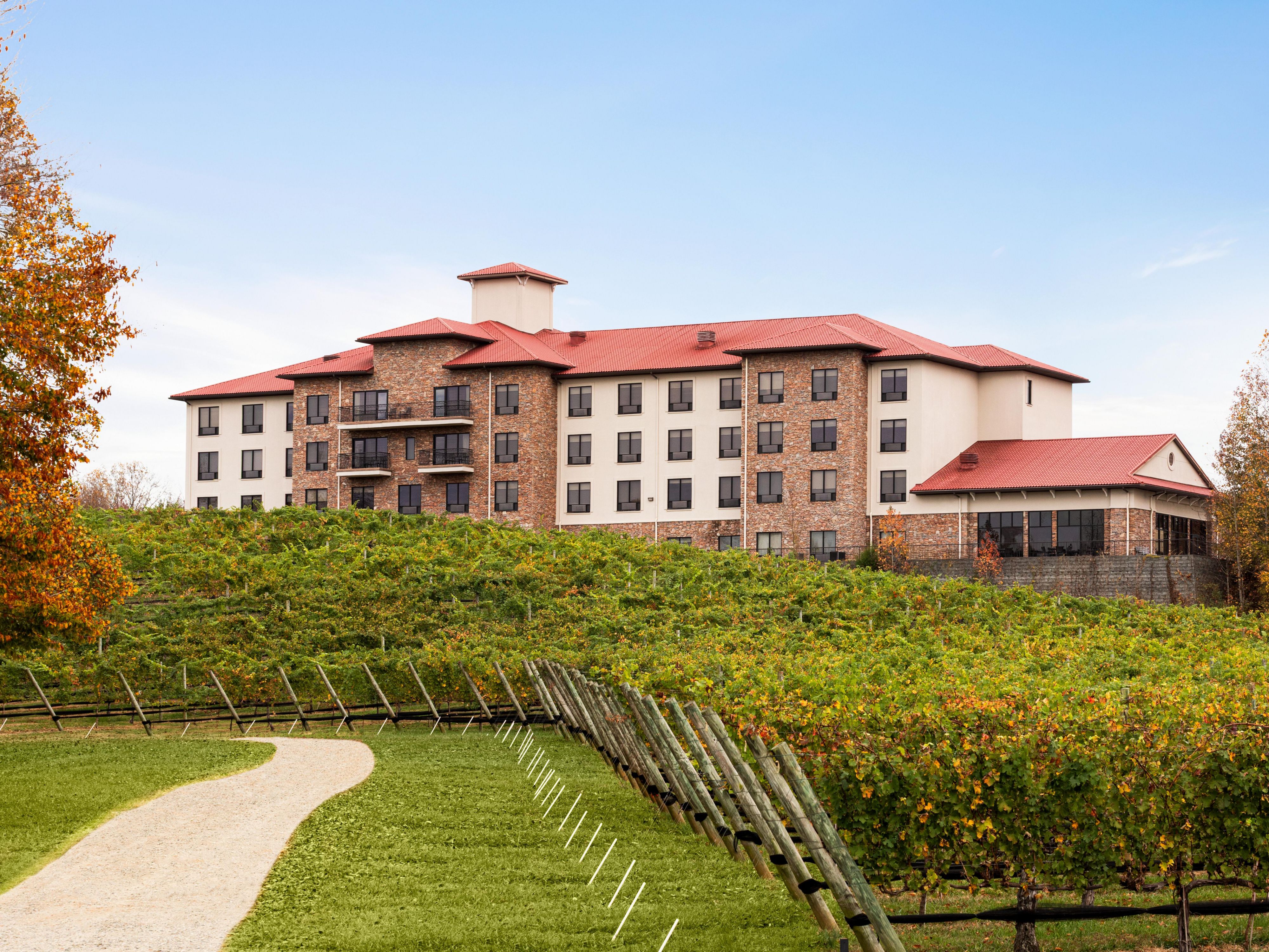 If you (or a friend!) are getting hitched in one of the gorgeous nearby wineries, our hotel provides the perfect place for the wedding party to stay. With spacious suites overlooking the Childress Vineyards and meeting rooms perfect for wedding rehearsals and dinners, let us help you host your cherished guests. 