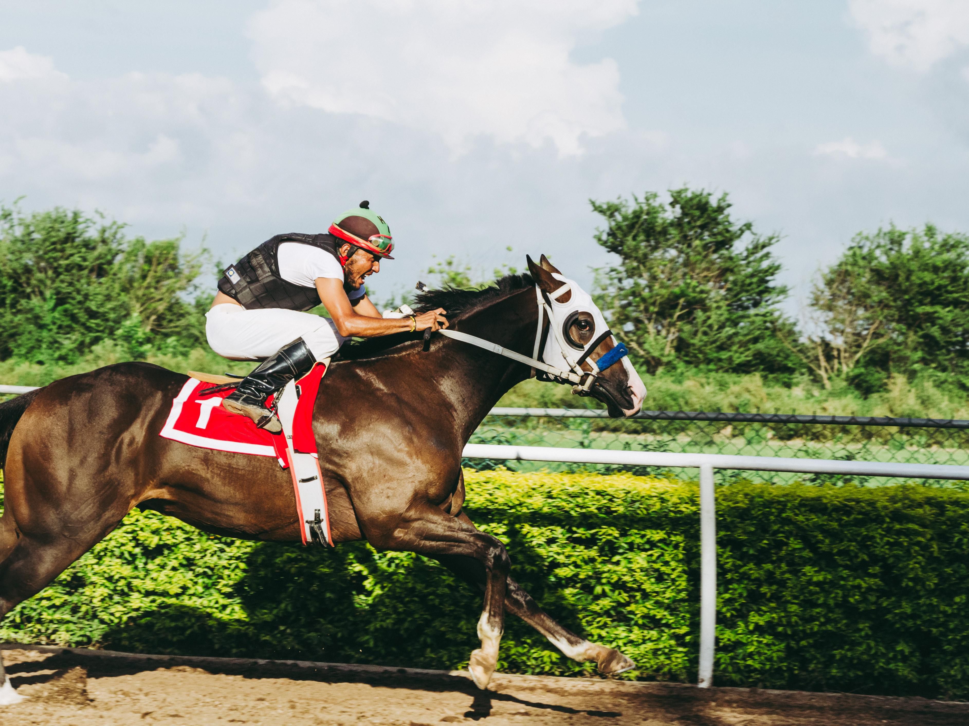 Located in the Horse Capital of the World, Keeneland is an internationally renowned racecourse and the Thoroughbred industry’s leading auction house. Keeneland is located just two miles from the hotel.  