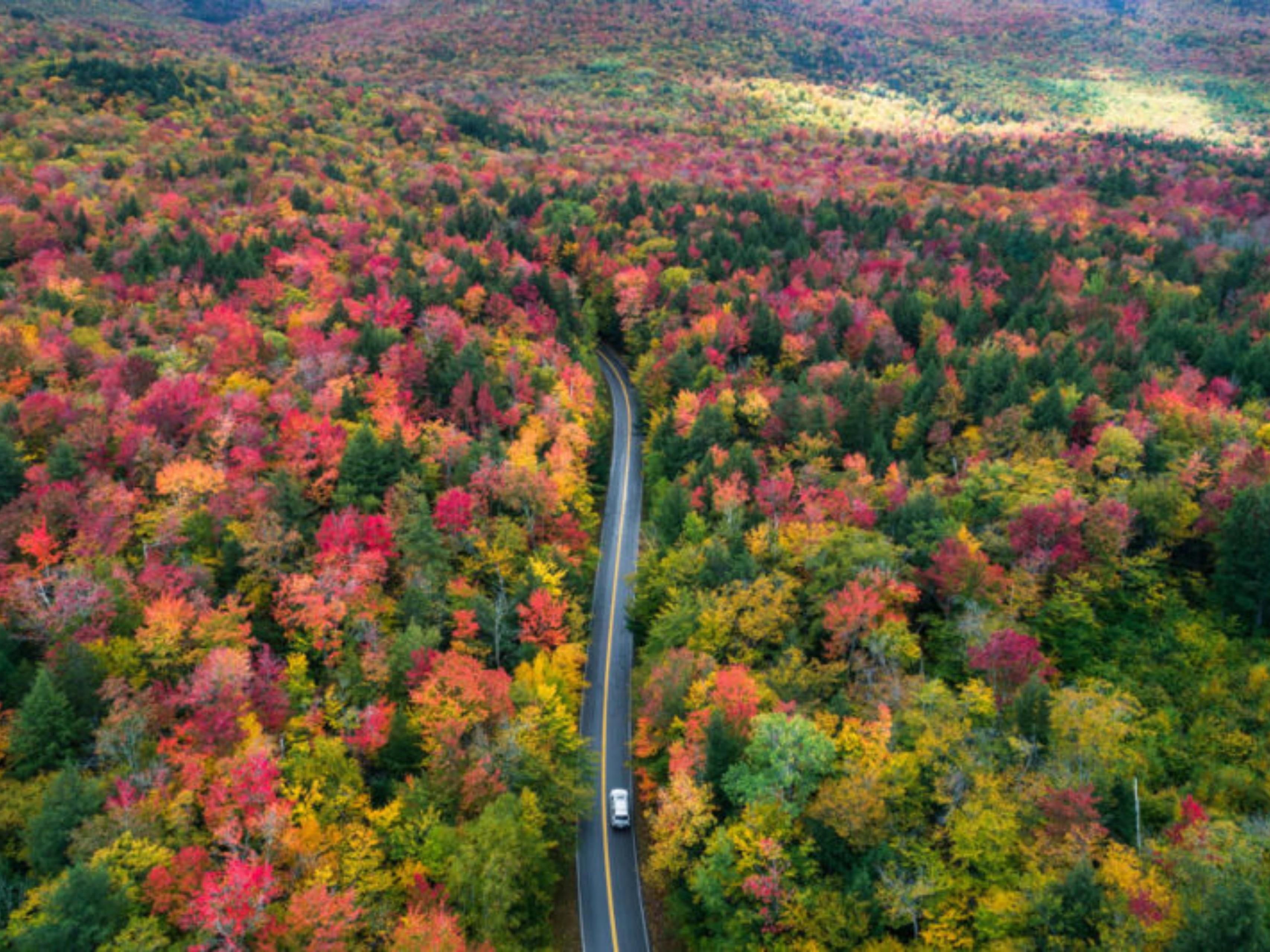 We are located at the start of one of the most scenic drives in America. This mountain highway offers spectacular views and sightseeing destinations for the avid outdoor enthusiast and the casual leaf peeper alike. Open year round.