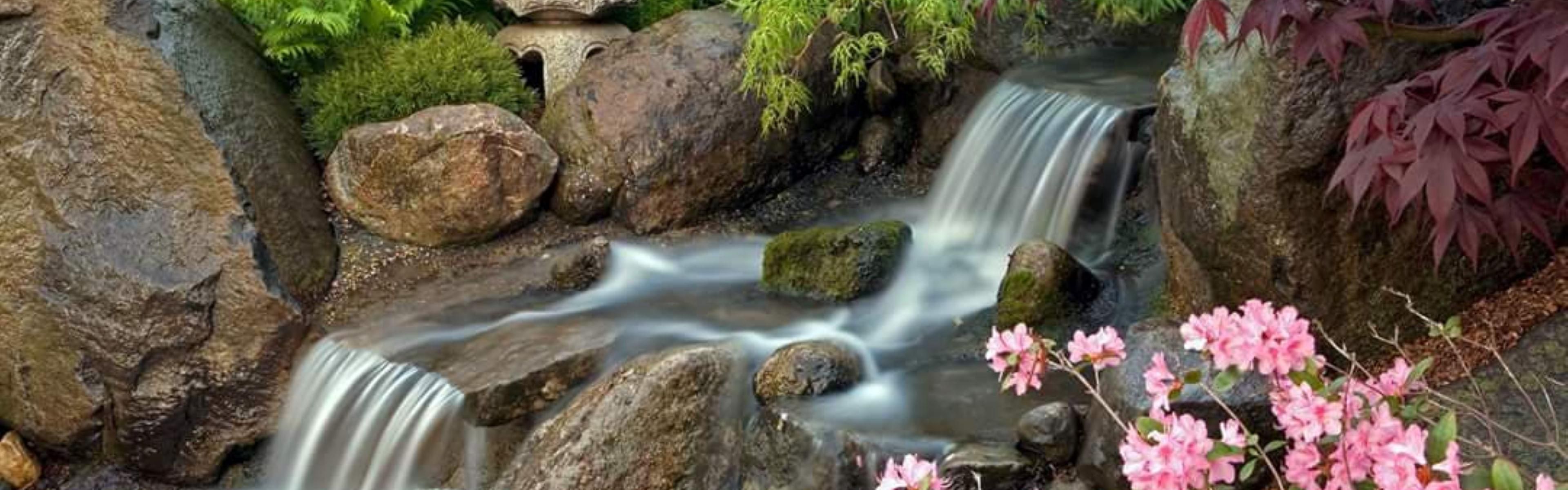 Anderson Japanese Garden