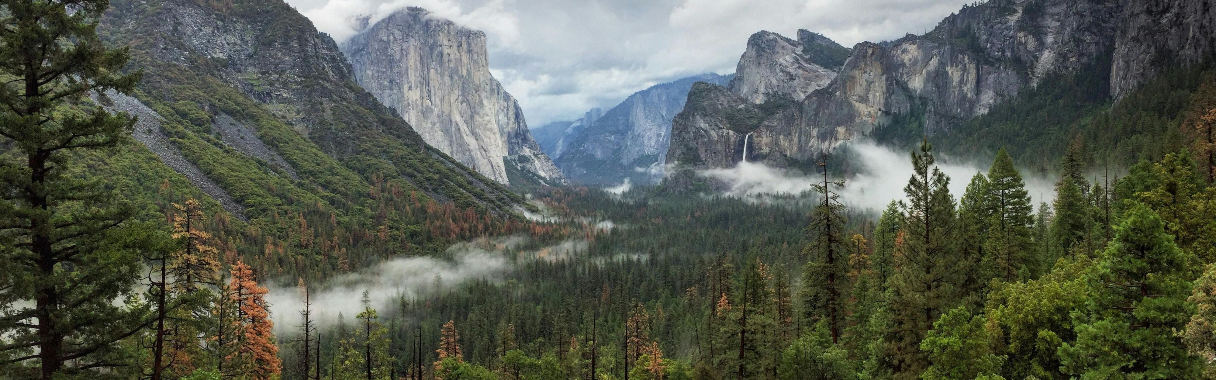 Yosemite National Park