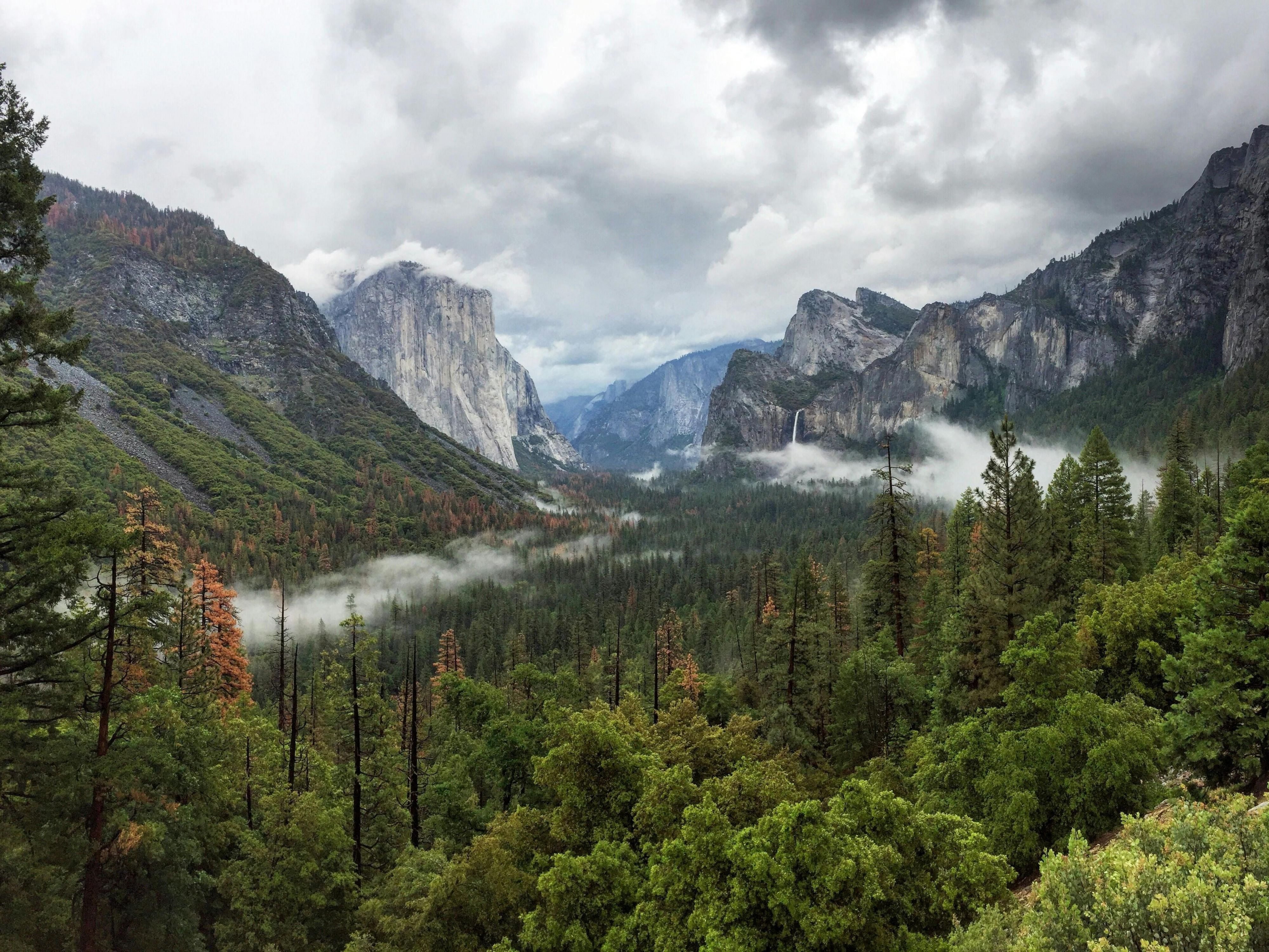 Enjoy a stopover as you make your way to Yosemite National Park. We are located about 100 miles from the scenic attraction and are a convenient place to stay on your way to and from the park.