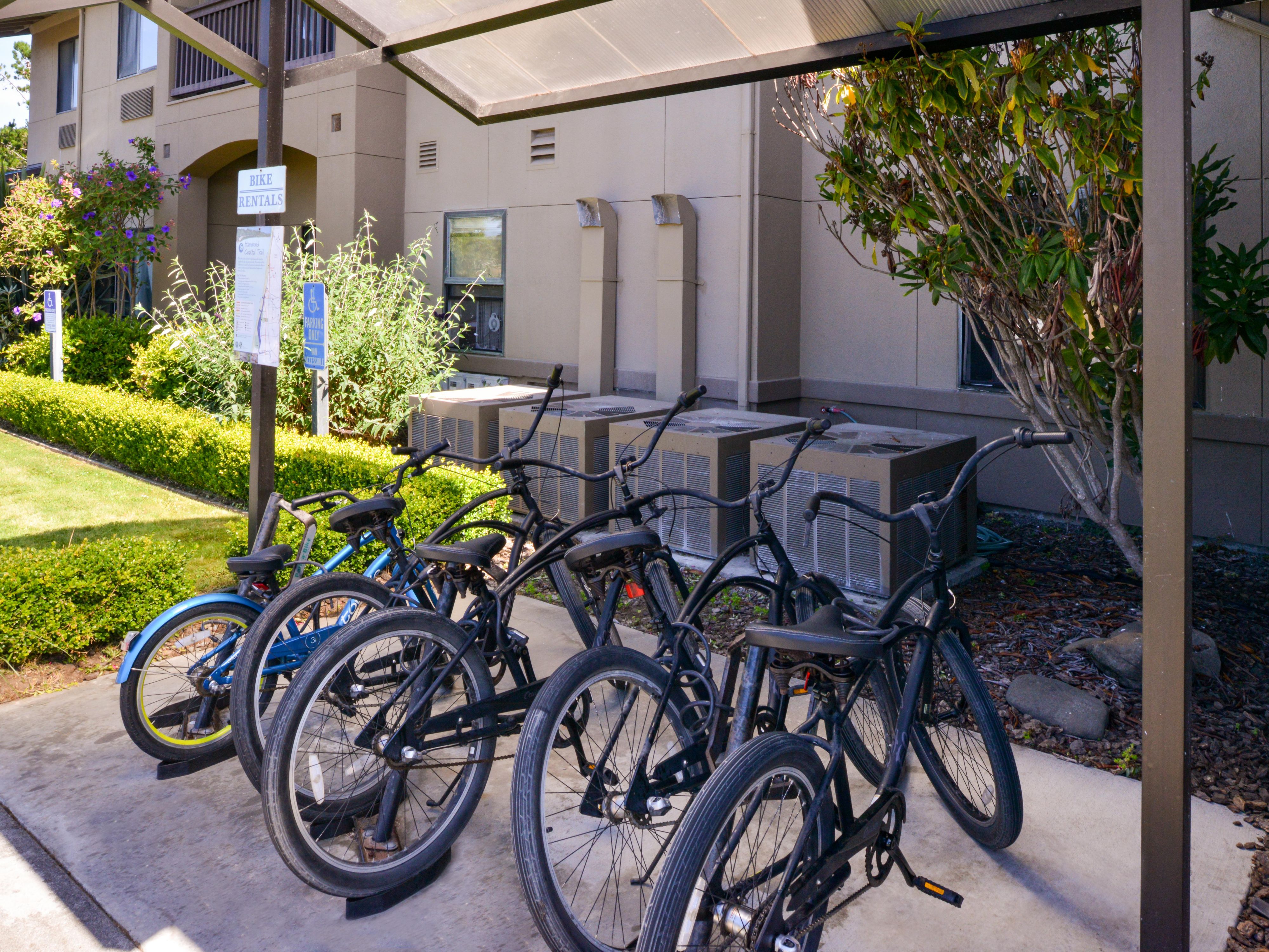 Cruise the Hammond Trail on a 3 speed beach cruiser. Up to five adult 3 speed beach cruisers and one child's bike available to rent, enjoy the breathtaking views and scenery this Pacific Coast trail has to offer. Bicycle rentals start at just 10 USD per day, per bicycle. Please see our Guest Services for more information.