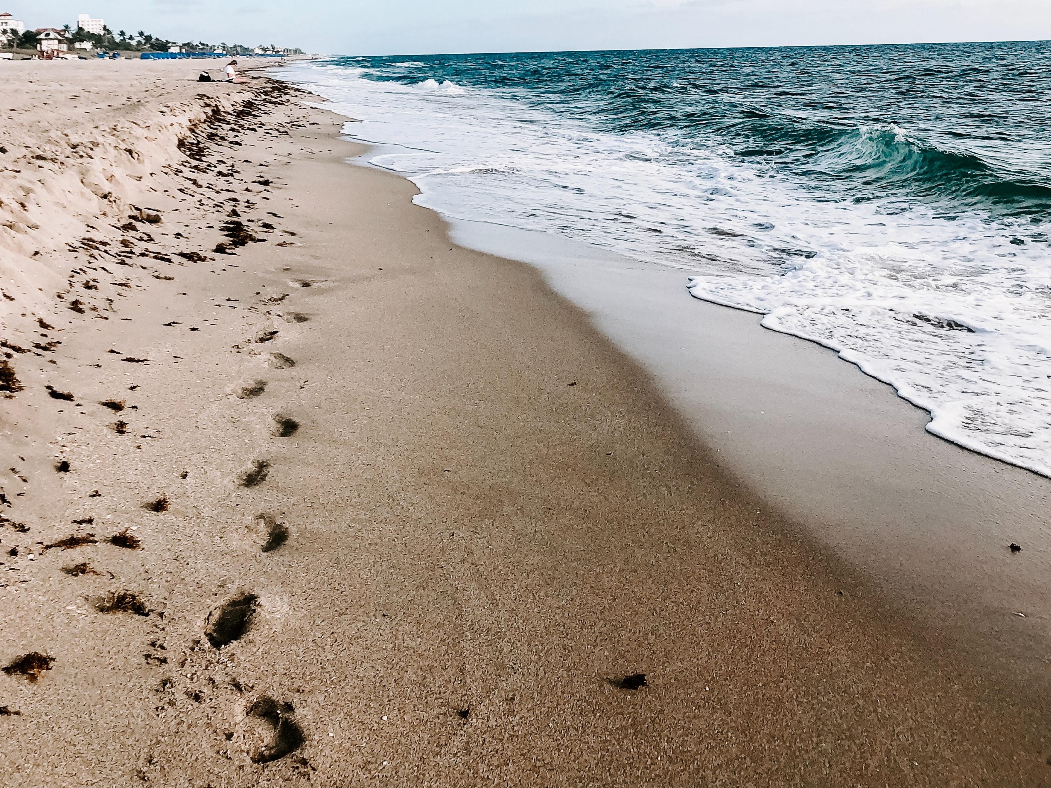 Pack your beach bag and plan your visit to Isle of Palms or Sullivan’s Island. A short drive from the Isle of Palms Connector you will have your toes in the sand and an opportunity to catch a glimpse of Lowcountry sites dolphins playing or shrimp boats bringing in their daily catch. Remember to visit Shem Creek for dinner and cocktails.