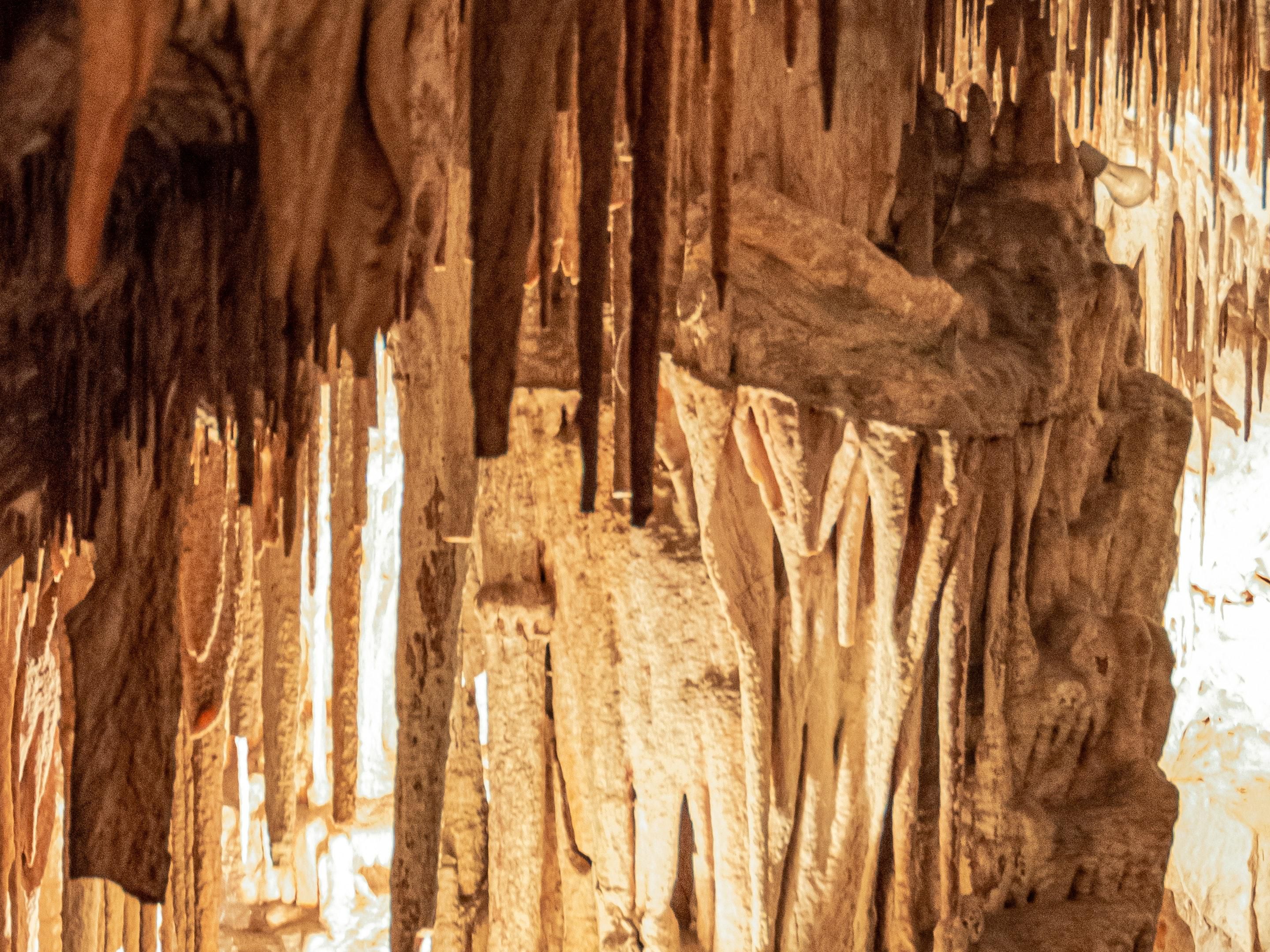 Natural Bridge Caverns offers year-round adventures, including two captivating cave tours and five total tour options. Guests can also enjoy above-ground activities such as ziplining and rope courses. Tickets are available for purchase at the hotel front desk, ensuring a seamless and convenient visit to the caverns.
