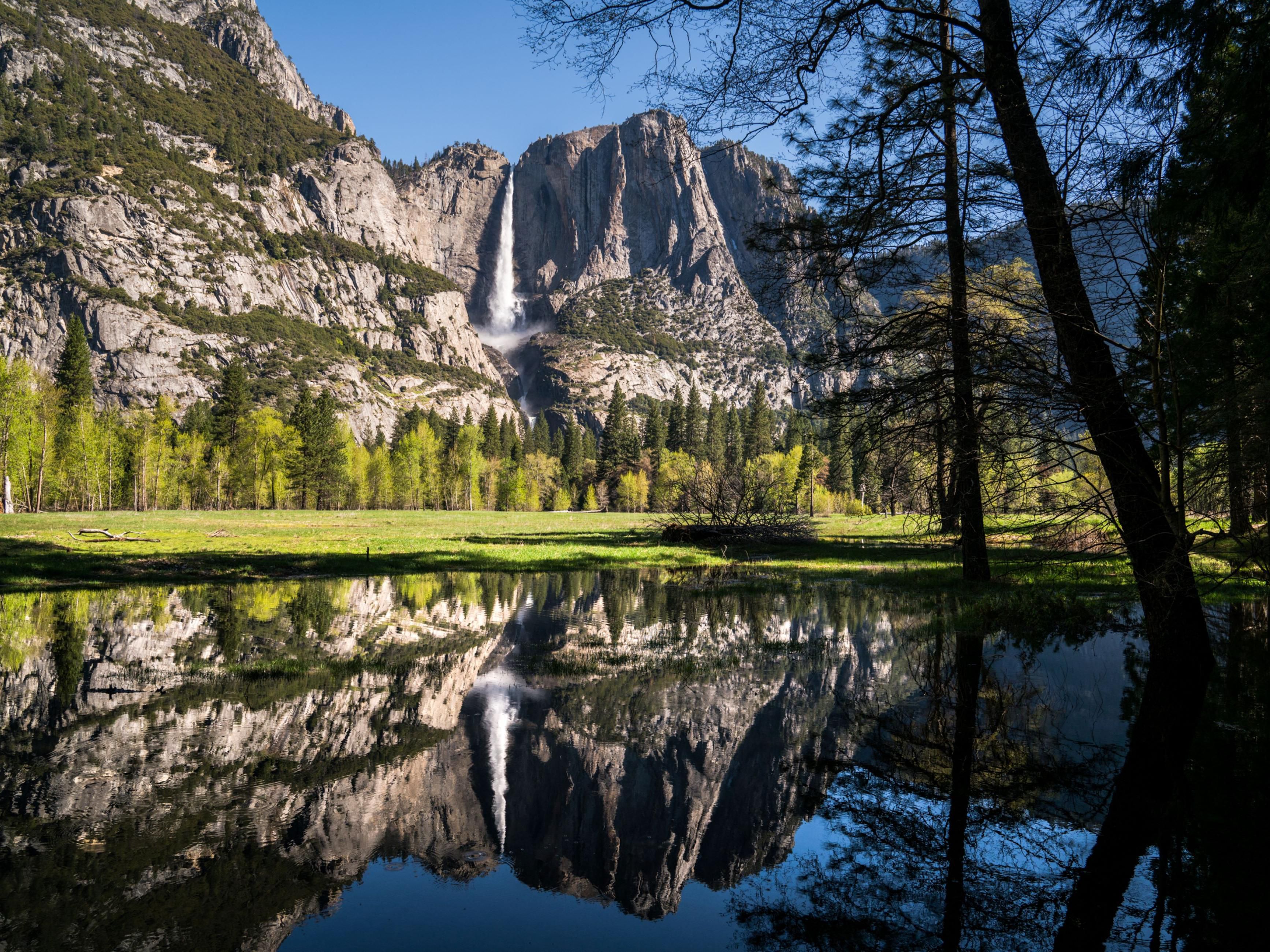 Experience the great outdoors right from our hotel. Yosemite National Park is just a short drive away. Click below to explore things to do in our area. 