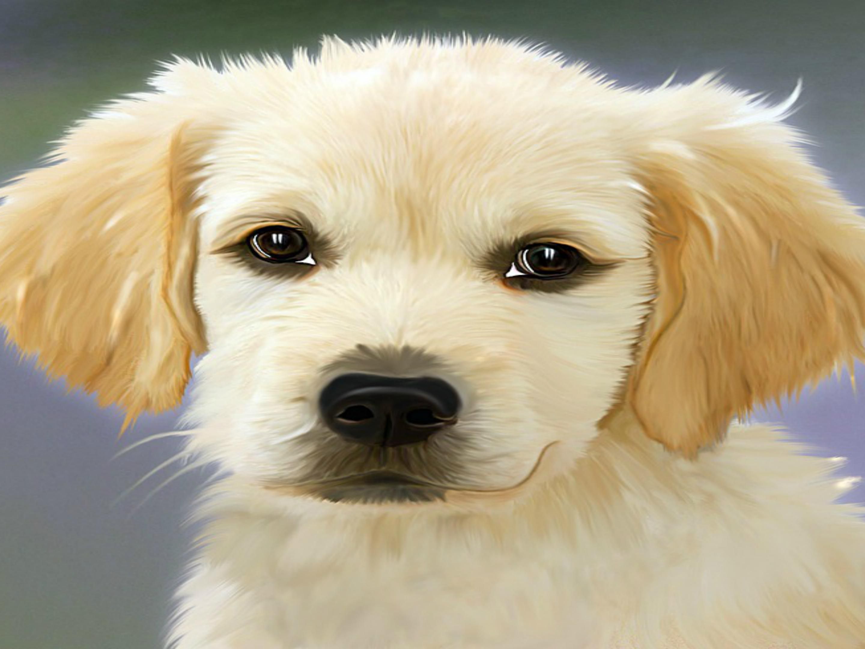 Our Pet Friendly Hotel in Ooletwah is ready to host you and your furry friend! We will give your pet a treat during the stay
