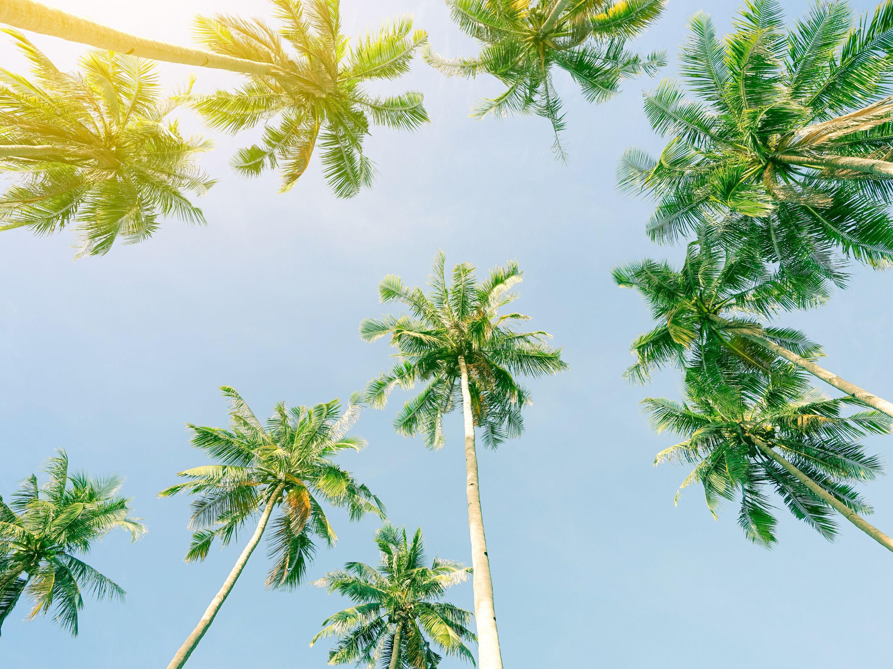 Enjoy our Florida Resident offer and save 10% off all rooms and suites. Click the learn more button below and enter your dates to view our discounted rates.