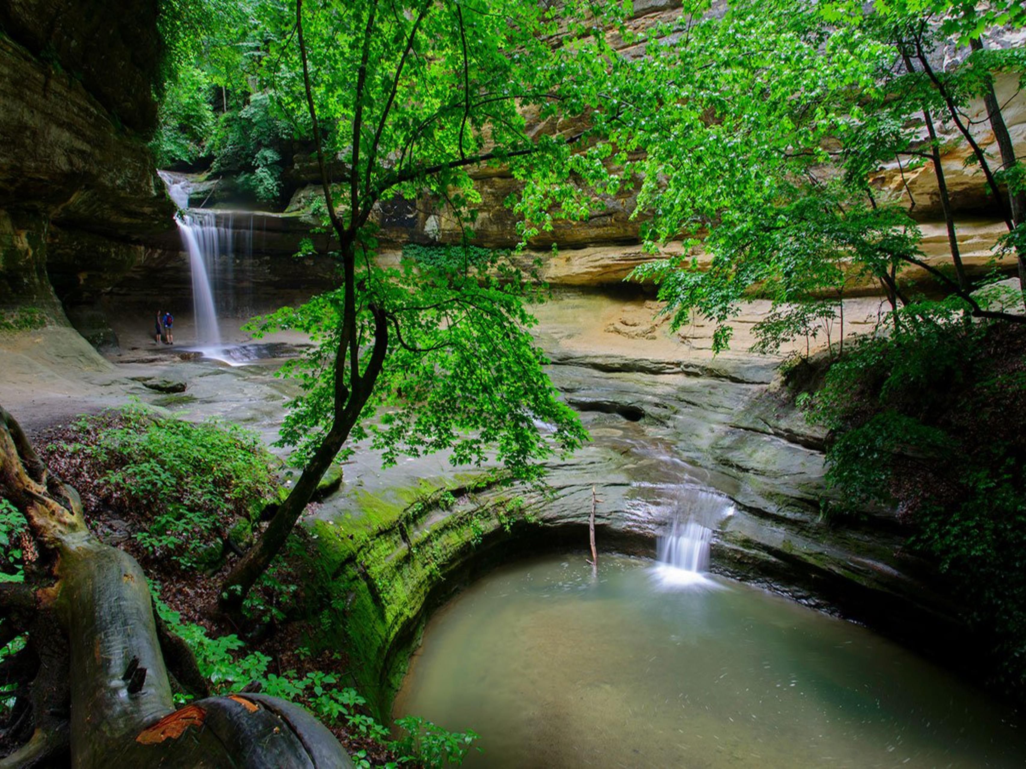 Just a short drive away, Starved Rock State Park is a world apart with towering trees, seasonal waterfalls, 13 miles of trails, boating and fishing.  
