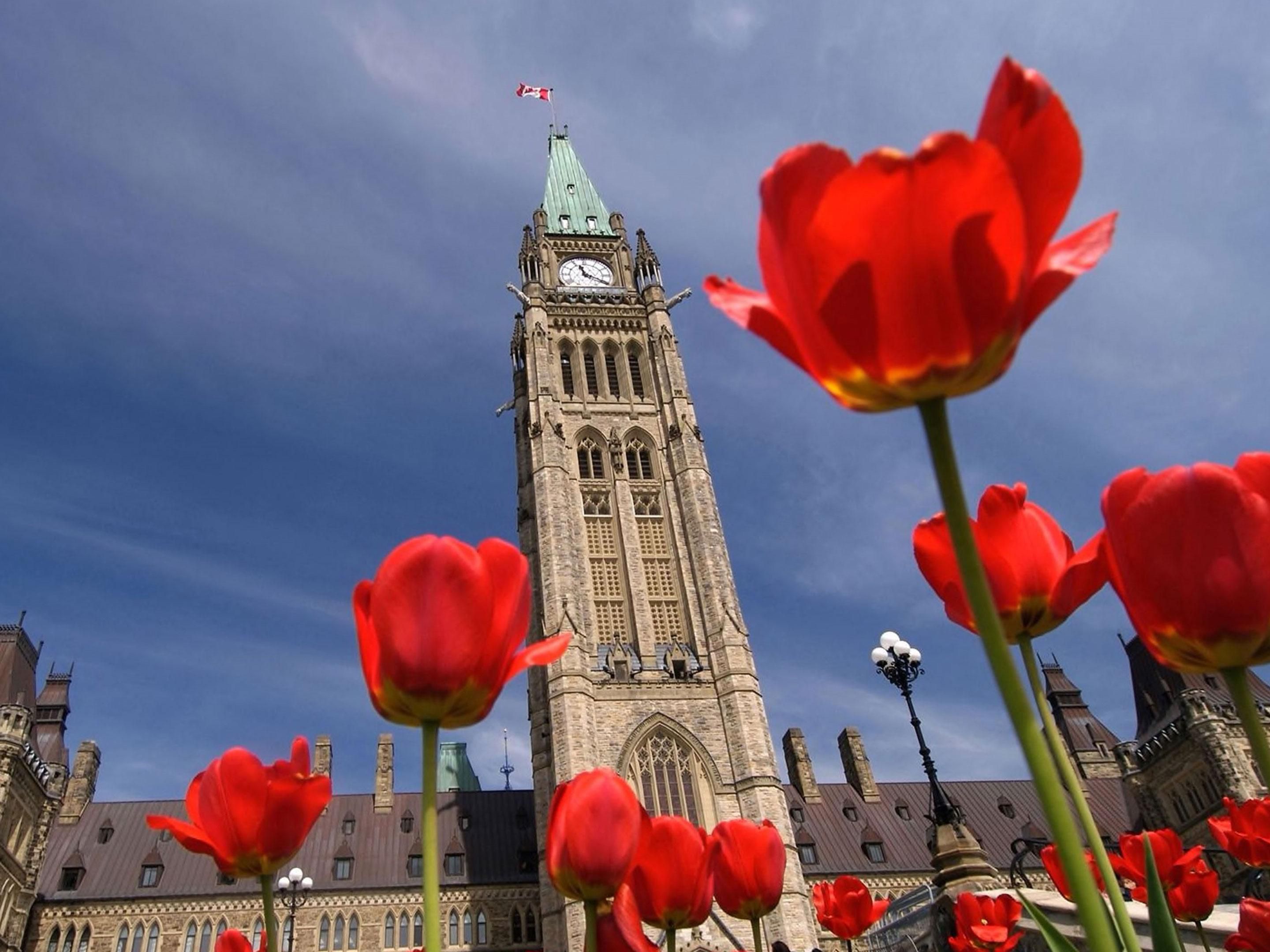 From the historic and famous ByWard Market to Parliament Hill, the Rideau Canal, Notre Dame Cathedral and  National Gallery of Canada, all the best downtown Ottawa attractions are within easy walking distance of our hotel. Or, rent a bicycle and explore our beautiful city that way. Experience the sights, sounds, and scents of Ottawa with ease when