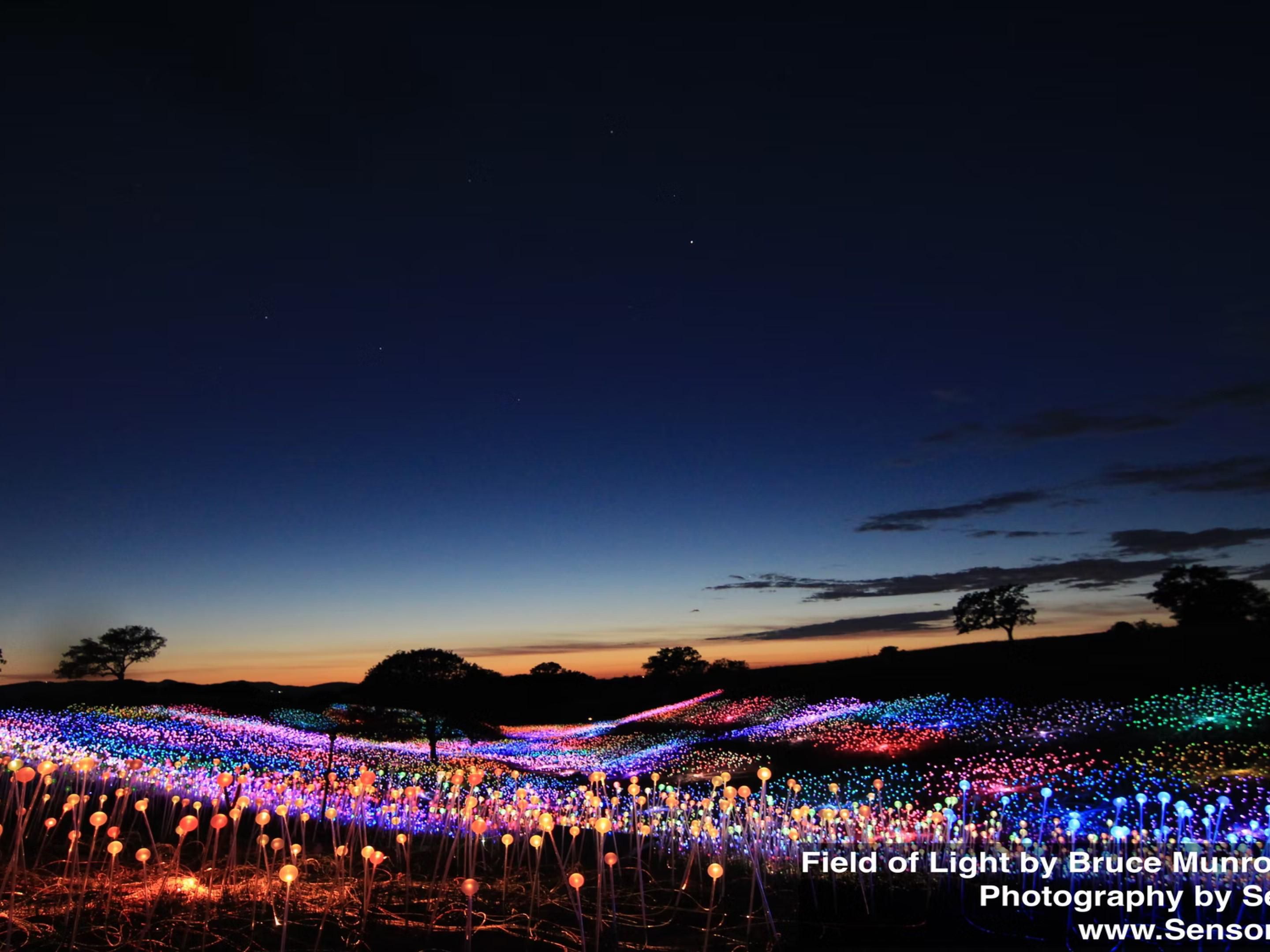 Just a short seven minute drive from the hotel, Sensorio in Paso Robles offers captivating solar-powered displays of light and music at sunset. It's perfect for families, couples, or corporate events. Book your room now with the link below. Hotel guests can use promo code HIXPASO.AA for a discount on tickets at Sensoriopaso.com.