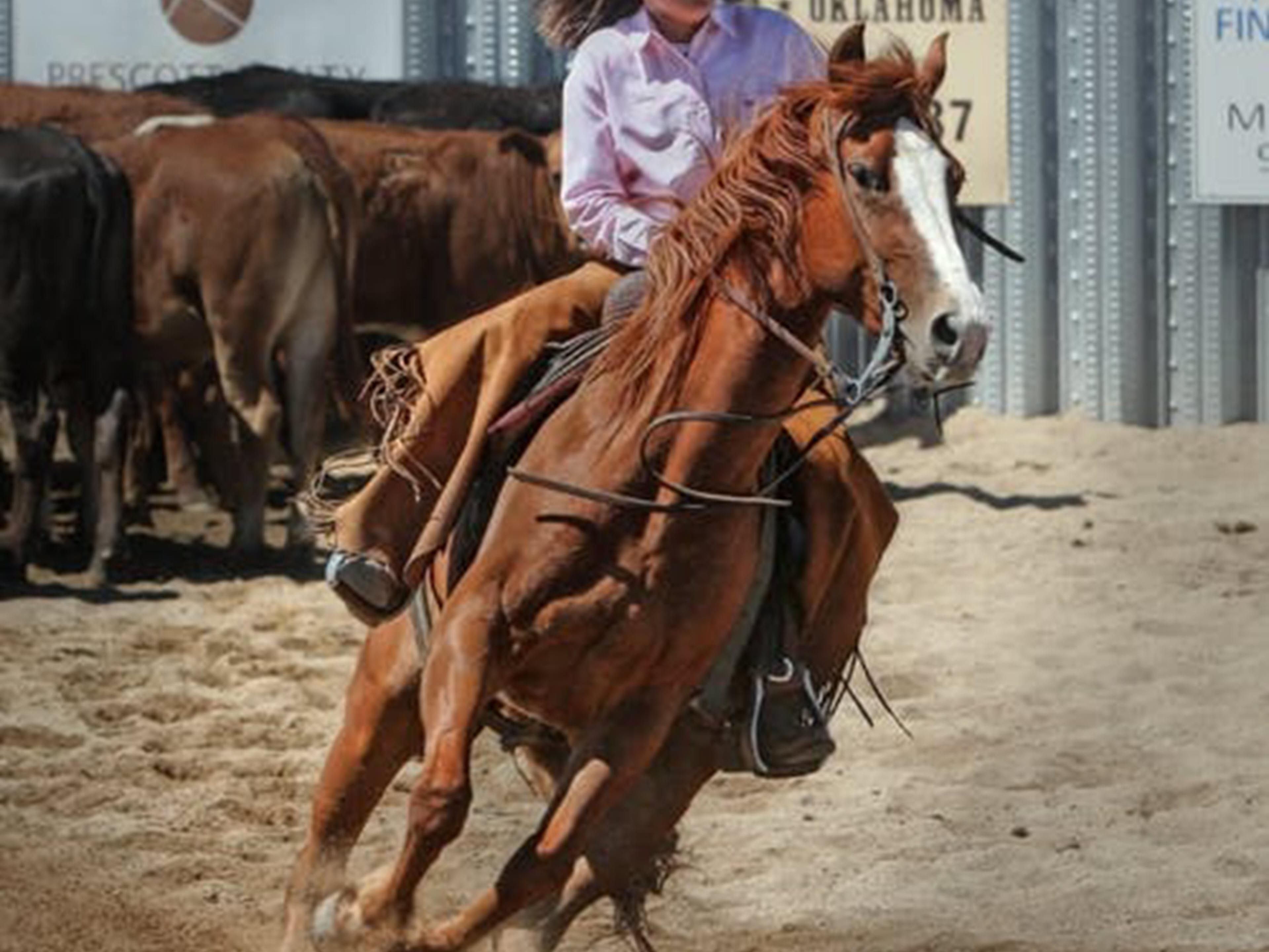 We are only 4.4 miles away from Georgia National Fairgrounds & Agricenter. Stay with us, enjoy a free hot breakfast every morning and head over to enjoy your visit at Georgia National Fairgrounds & Agricenter.