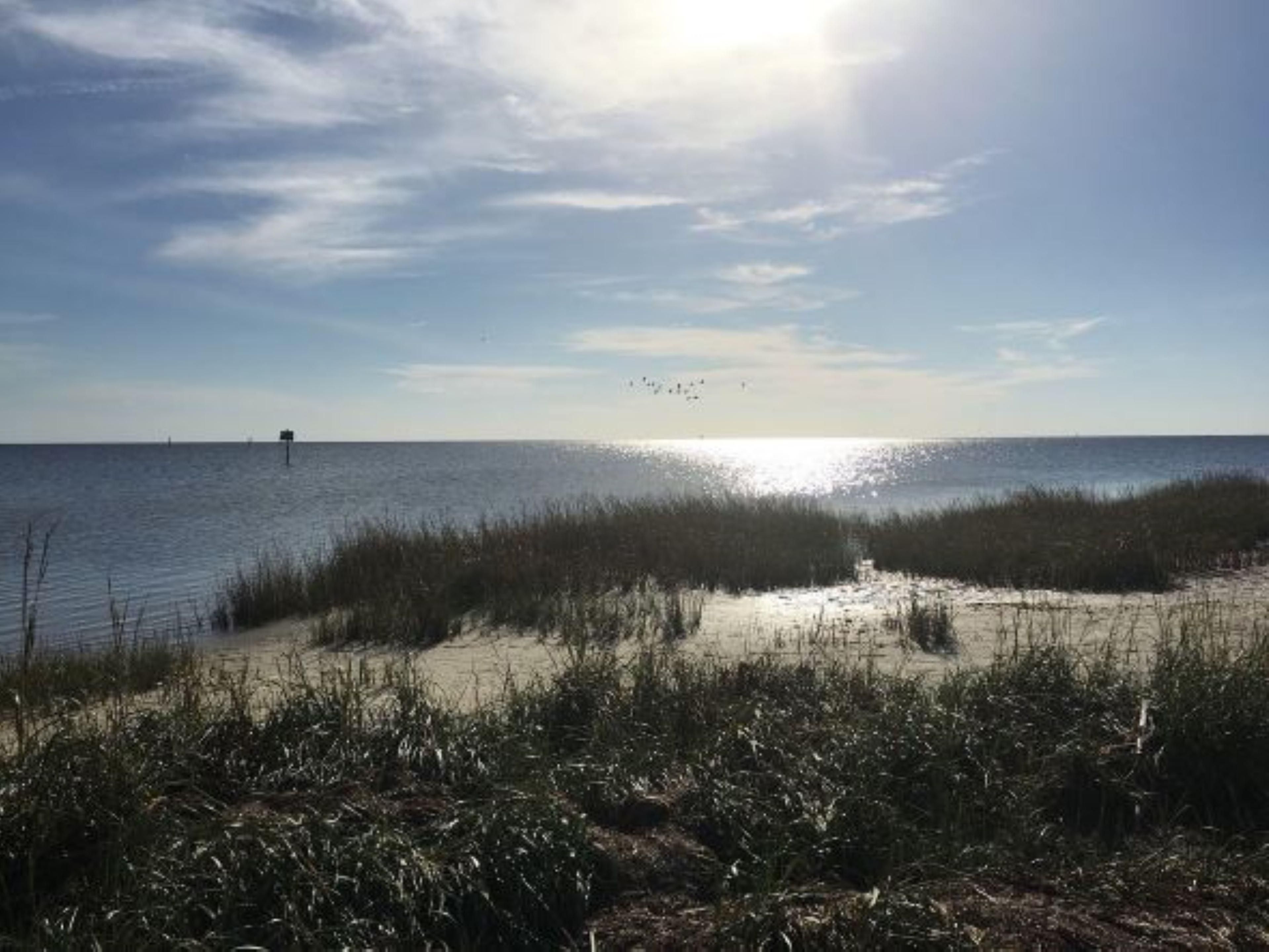 Fishing and boating galore! Keaton Beach boat launch is a 25 minute drive or Adams Beach (wetlands) is 20 minutes away for a scenic walk.