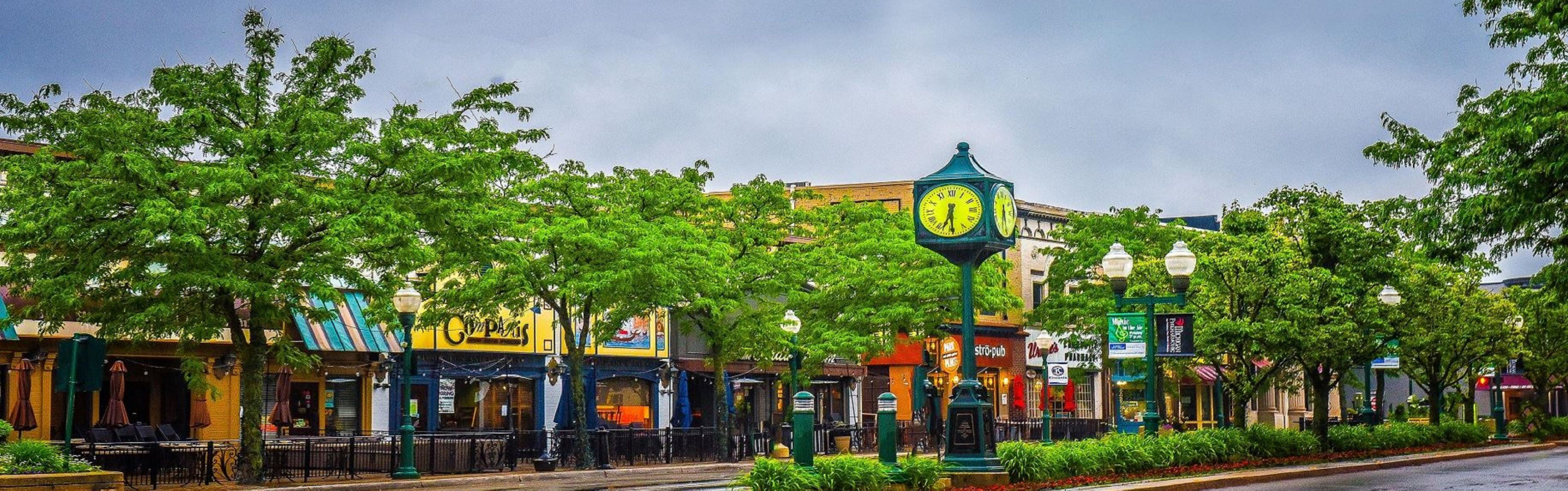 Downtown Plymouth MI Clock