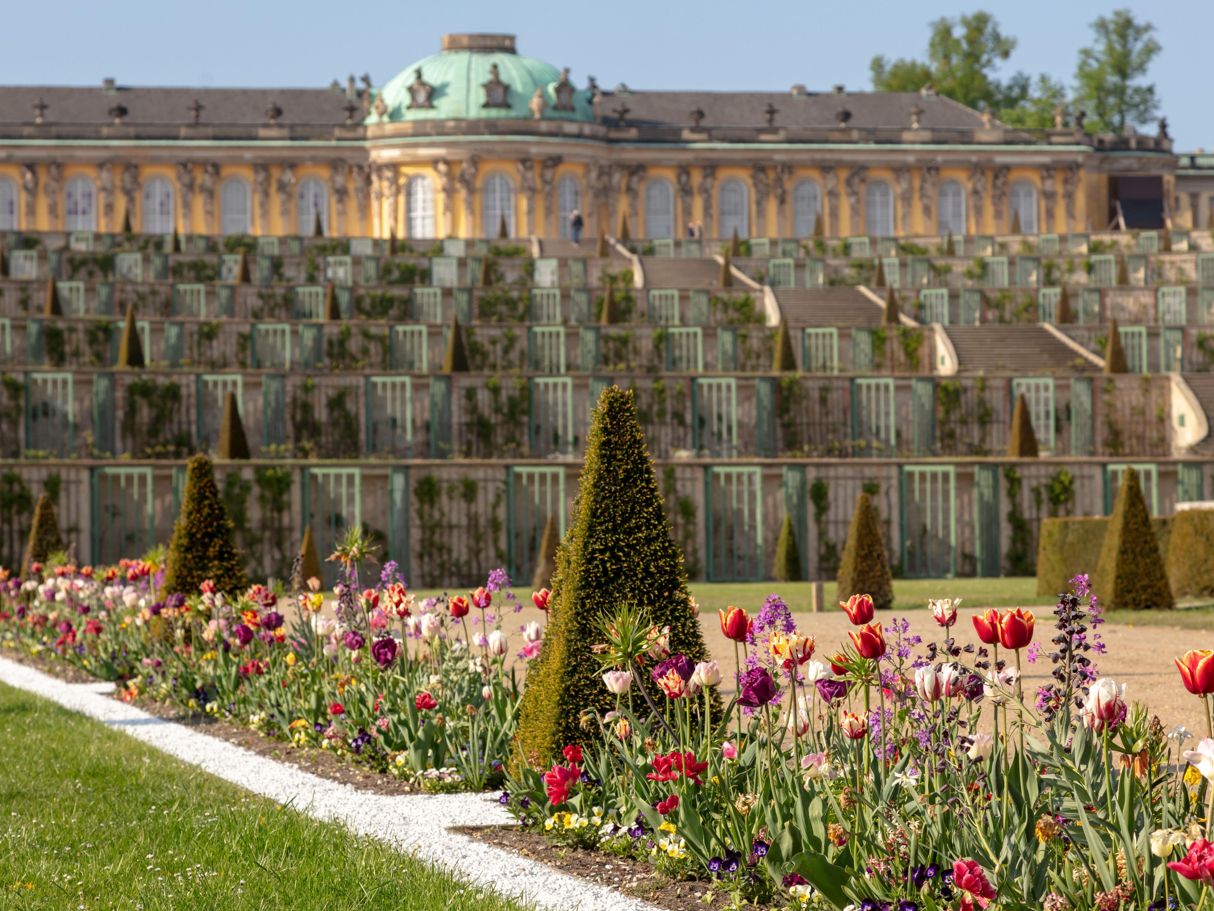 Visit the wonderful Castles of Potsdam like Sanssouci, Orangerie or the Castle of Babelsberg!