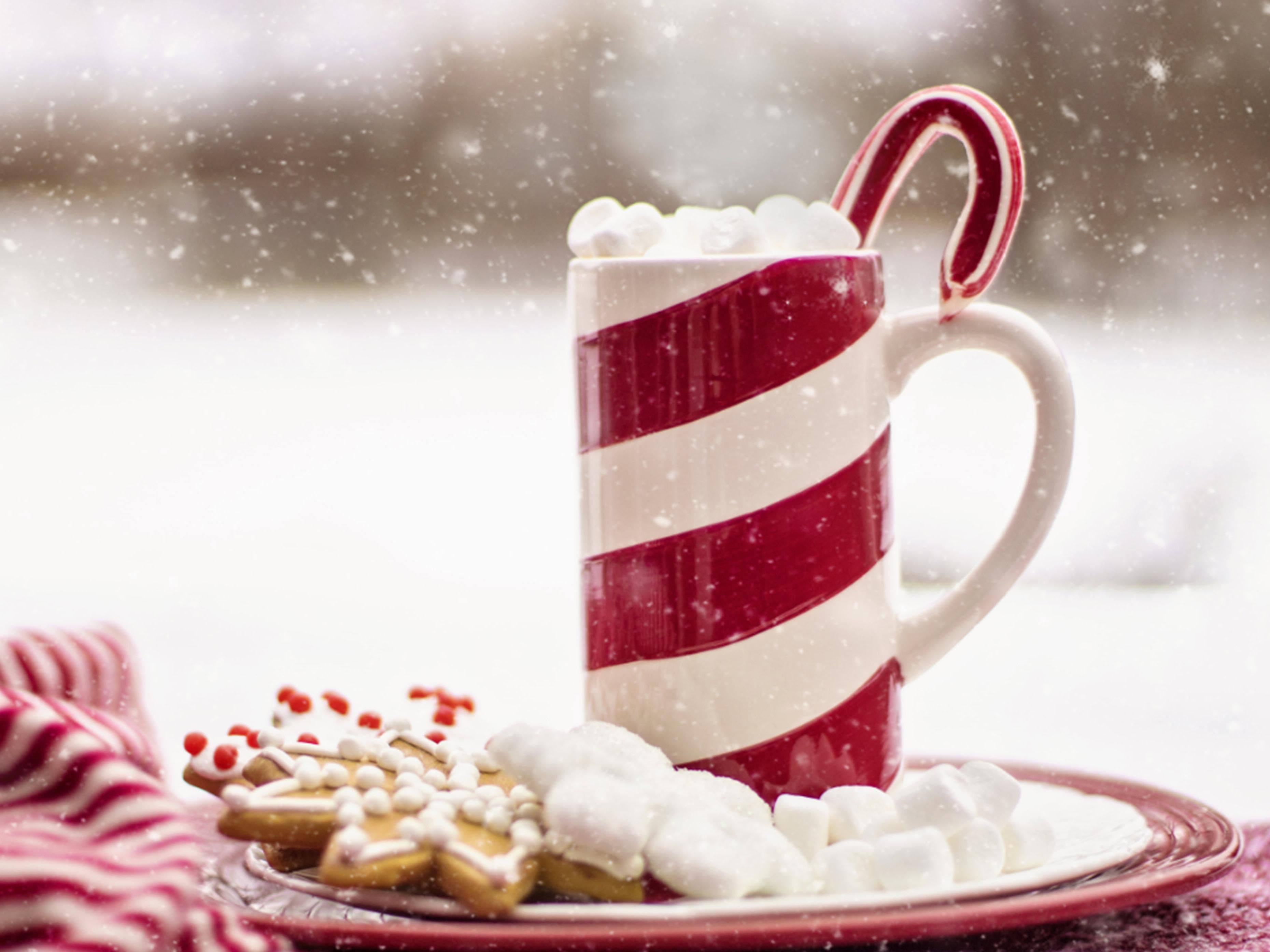 Escape the holiday hustle! Our cozy hotel offers a prime location near festive events, luxurious comfort, and family-friendly amenities. Enjoy a stress-free stay with our attentive service and beautifully decorated spaces. Book now for a truly magical holiday experience!