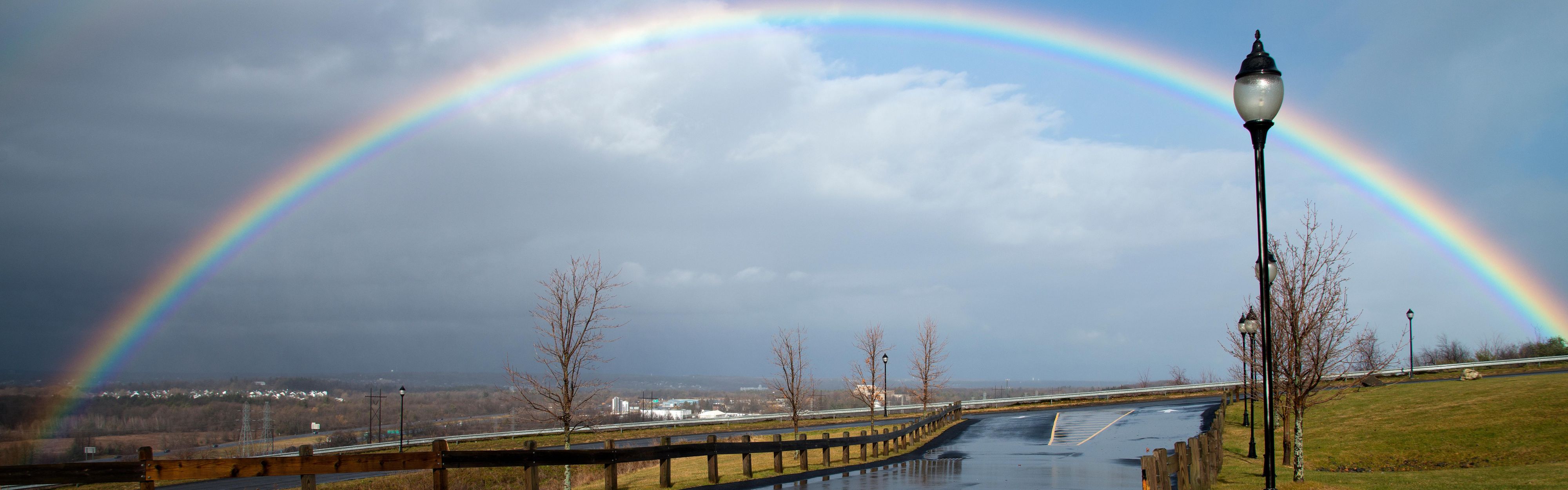Calming view overlooking the Albany Skyline.