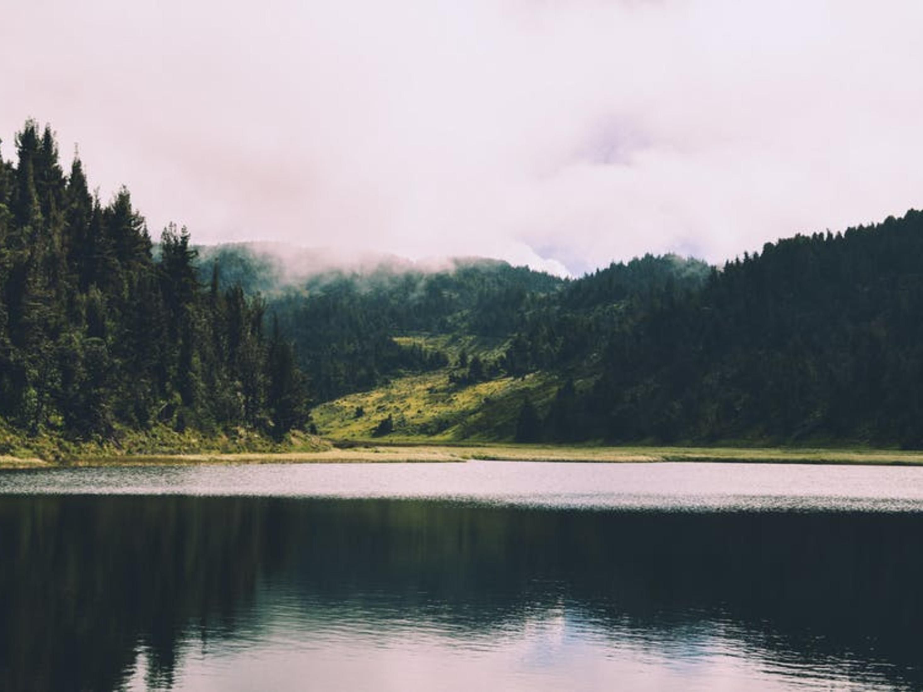 We are less than a 10 minute drive to the natural wonder of Allegany State Park. Enjoy a day out at this great park while staying with us.