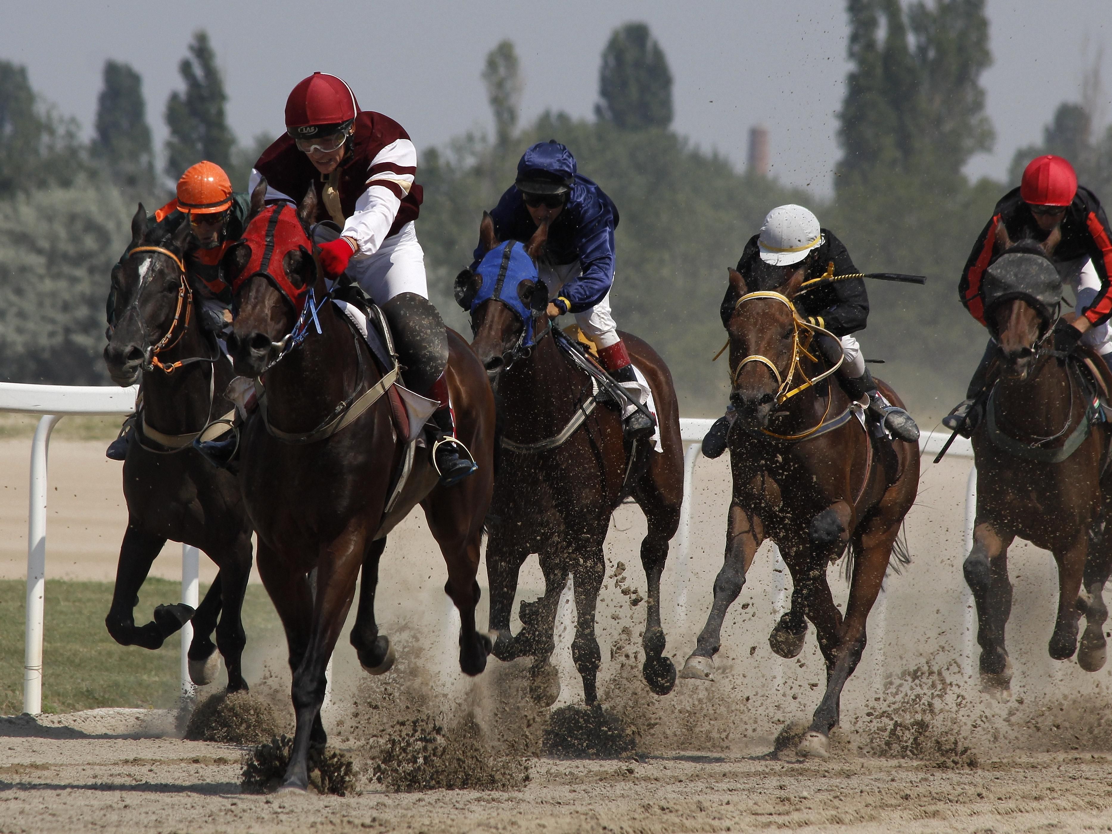 Come and enjoy the fun of live horse racing at Canterbury Park racetrack. Bring the family to see the horses up close and personal and enjoy the wonderful food and beverage Canterbury has to offer. 