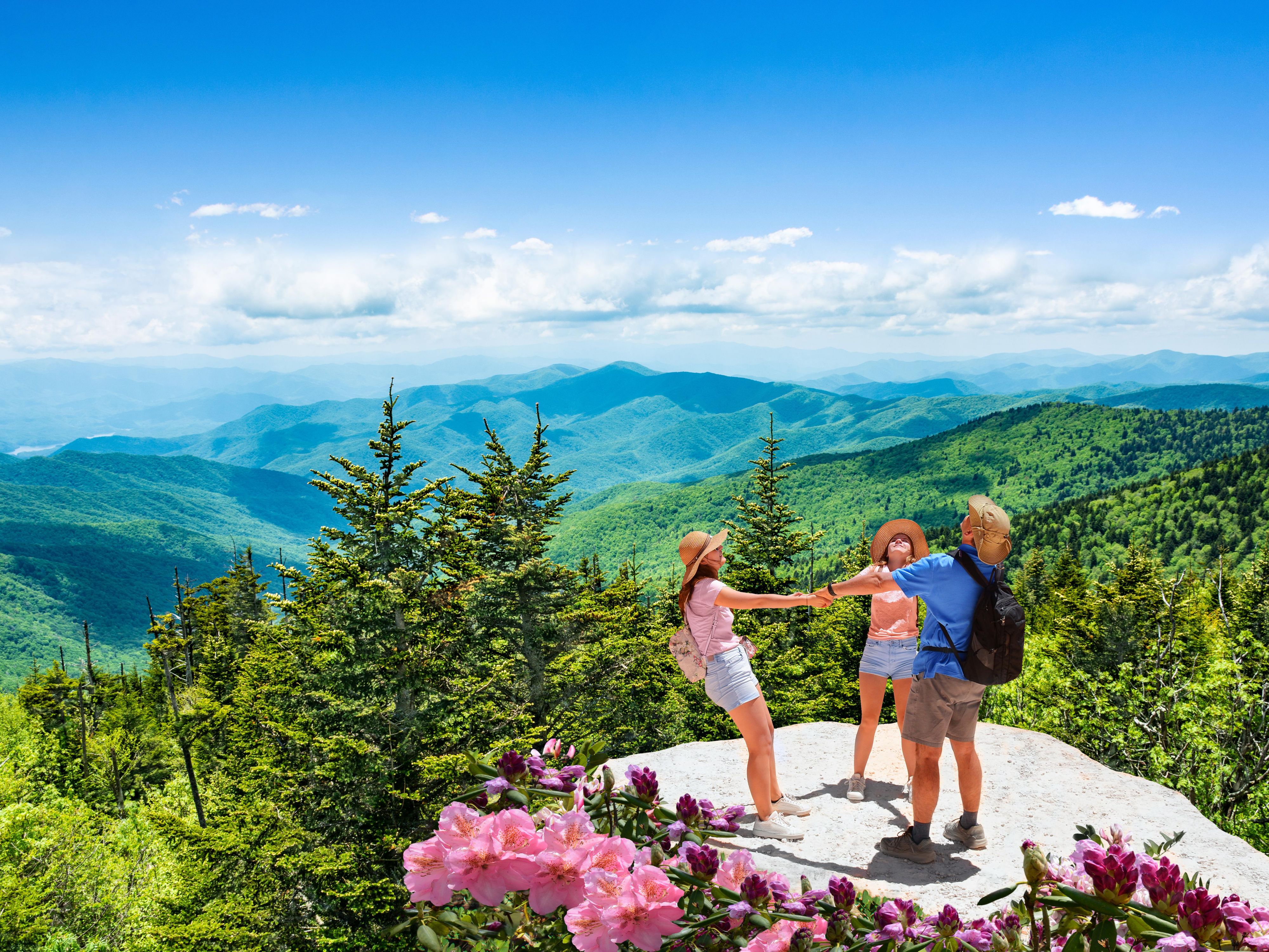 The Appalachian Trail from Shippensburg Road to Caledonia State Park features a well-maintained dirt trail that showcases spectacular rock formations. The trail ascends gradually as you hike, requiring careful navigation through the rocky sections. Along the way, you'll encounter diverse flora and fauna, adding to the landscape's natural beauty.