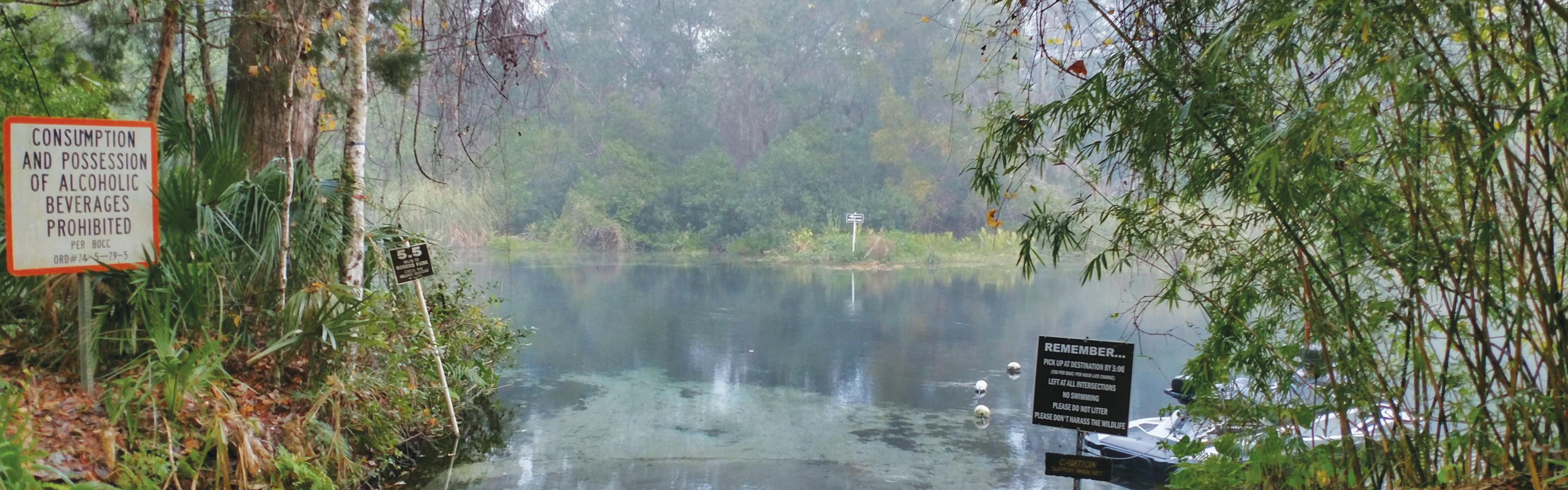 Weeki Wachee Springs are great for Kayaking! Just 3Miles N on US19