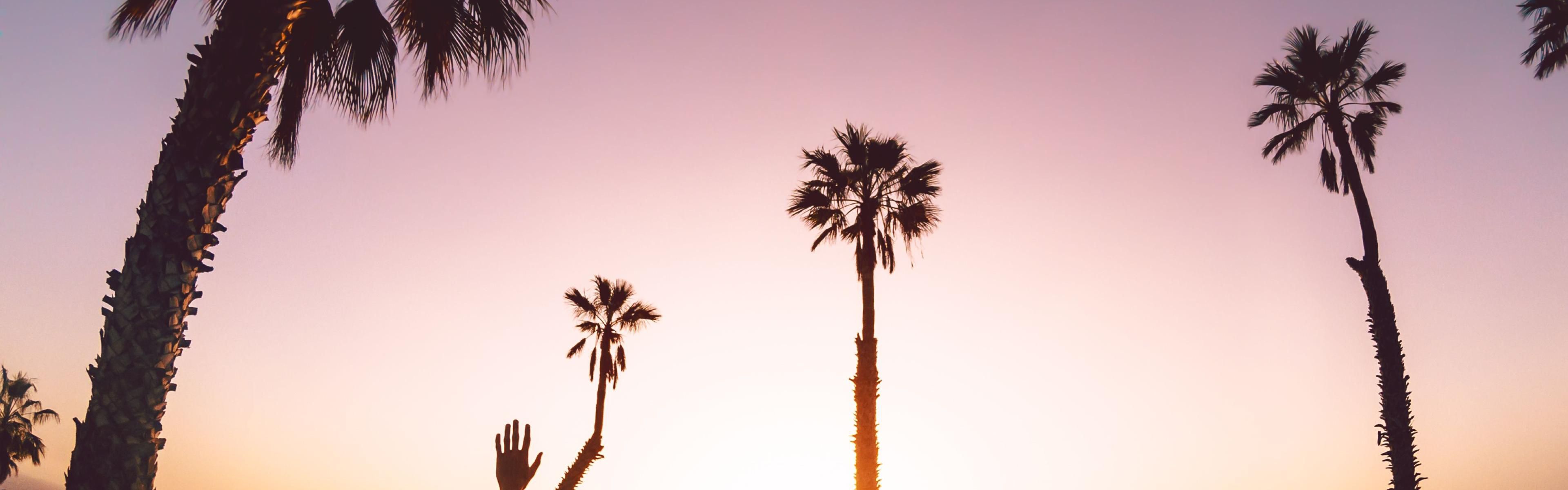 We're located just minutes away from Downtown St Pete