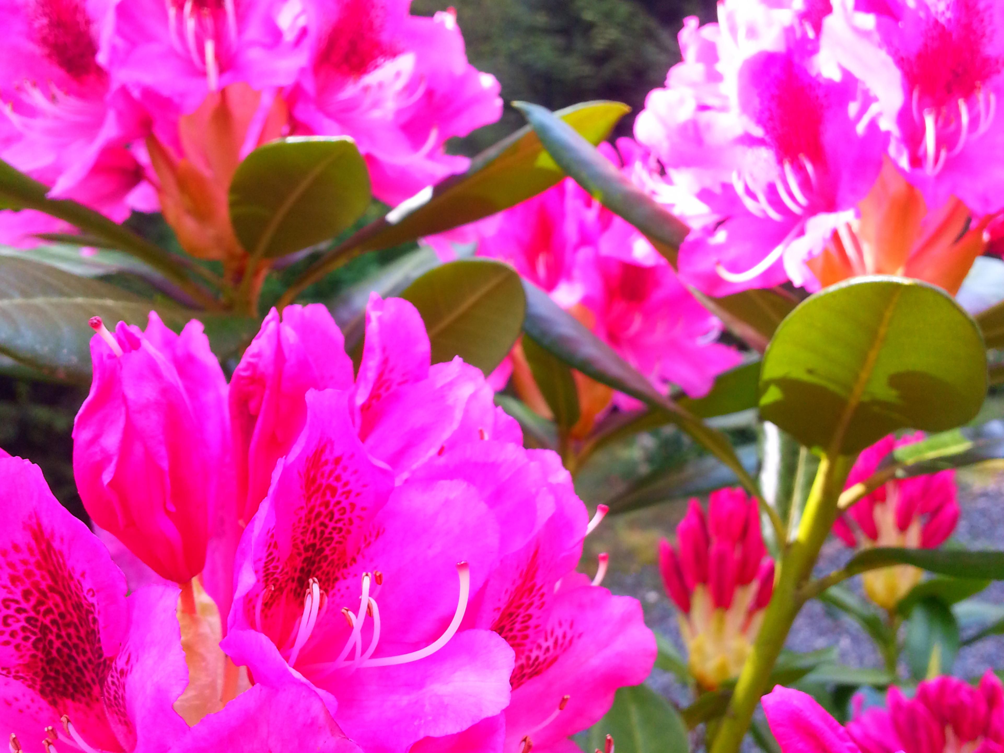 The property is nestled in a woodland area where you can relax and unwind feeling miles away from the busy city.