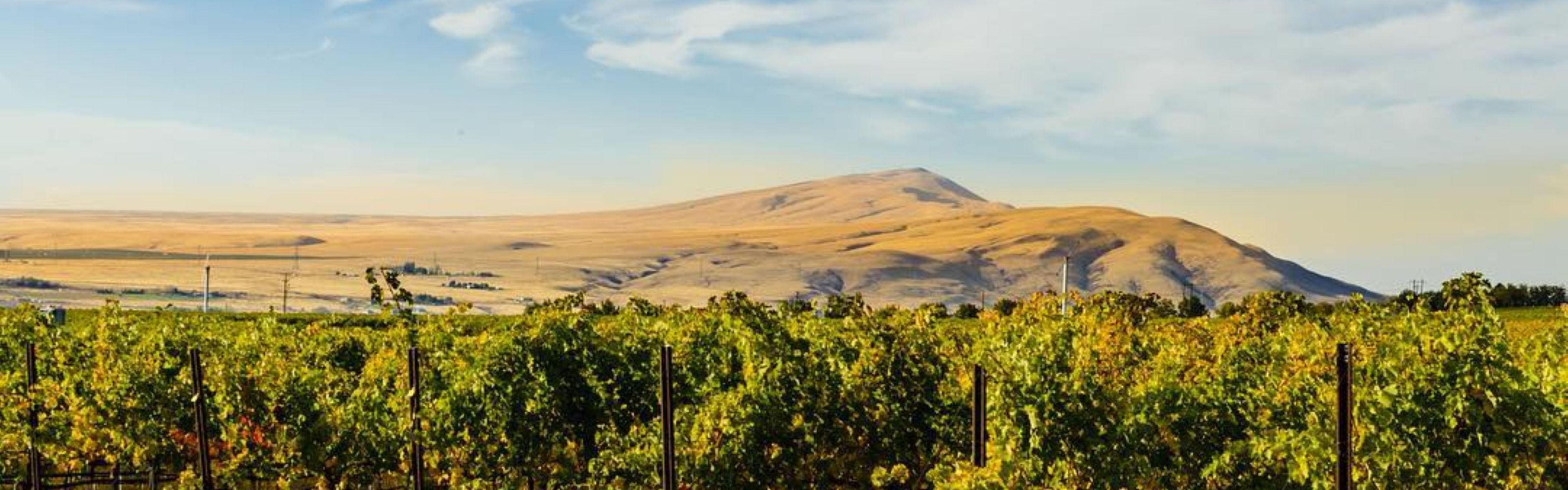 Visit Wine Country