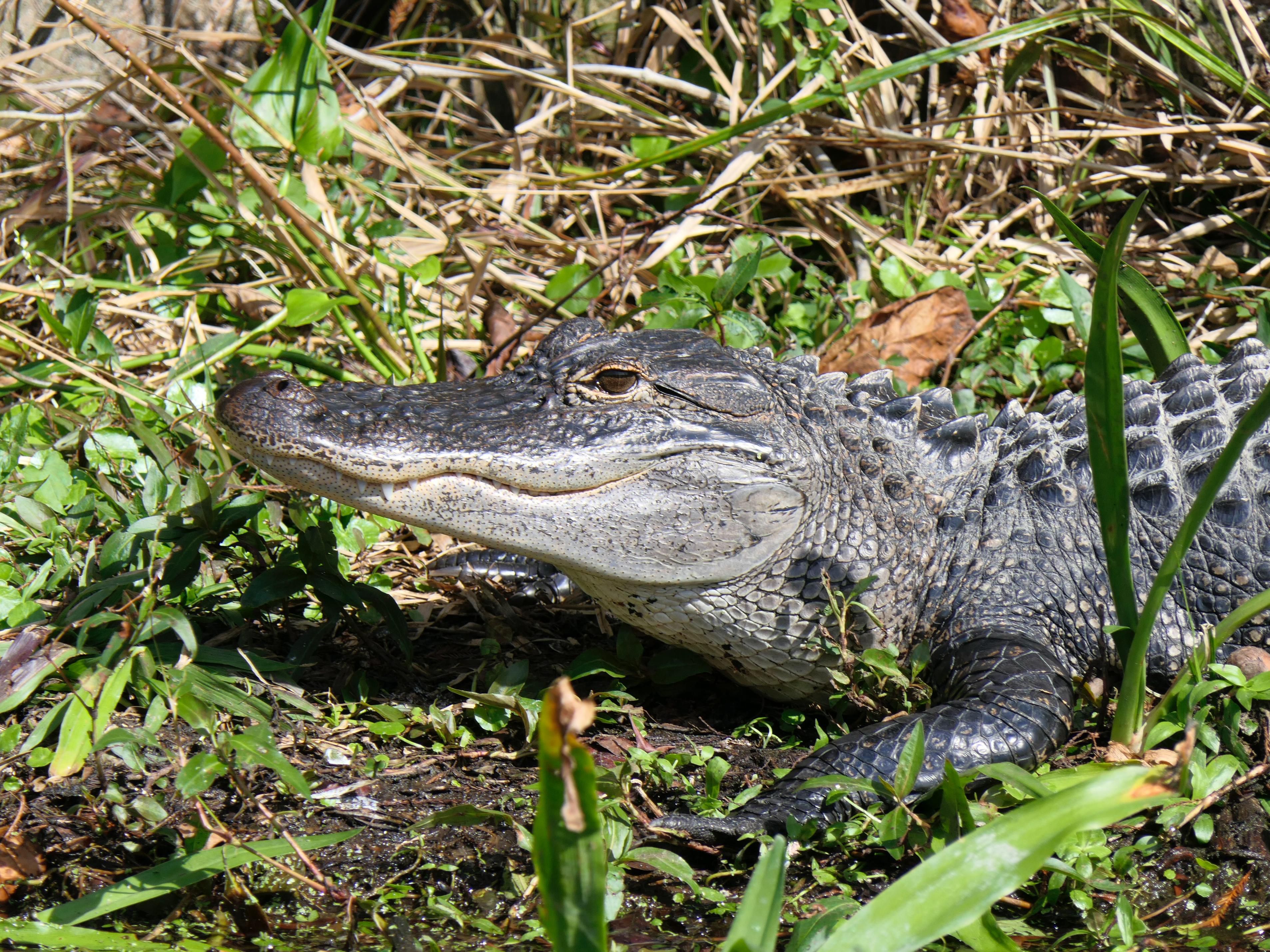 Just 10 minutes away!  Explore by guided tour, bike, kayak, boat or canoe - there is an adventure for all!