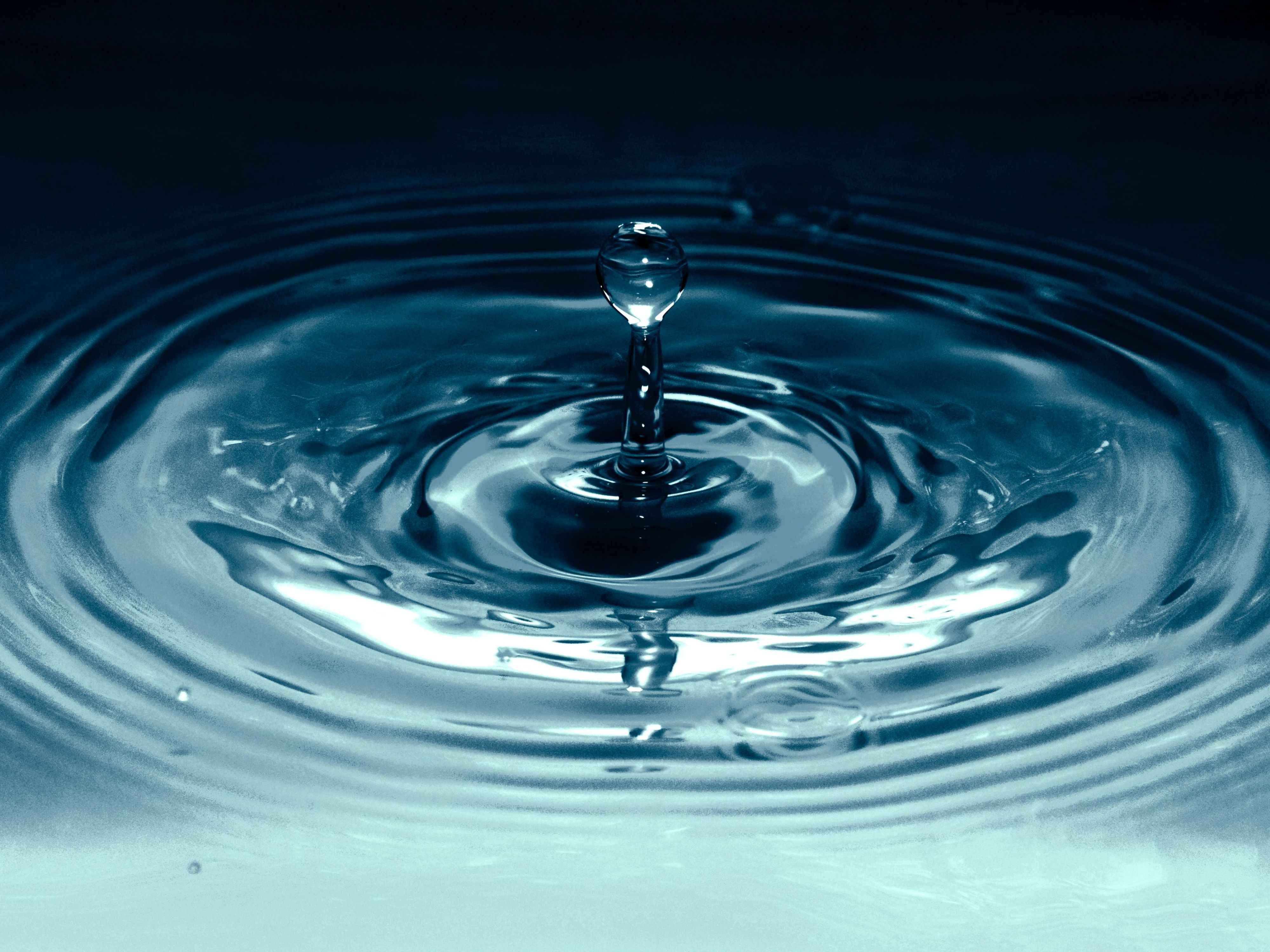 We’re proud to be rated Silver 4-Star by Qualmark, New Zealand’s official tourism quality mark. As part of our sustainability mission, we’ve phased out single-use plastics where possible, offering filtered water in glass bottles or recyclable cartons instead.