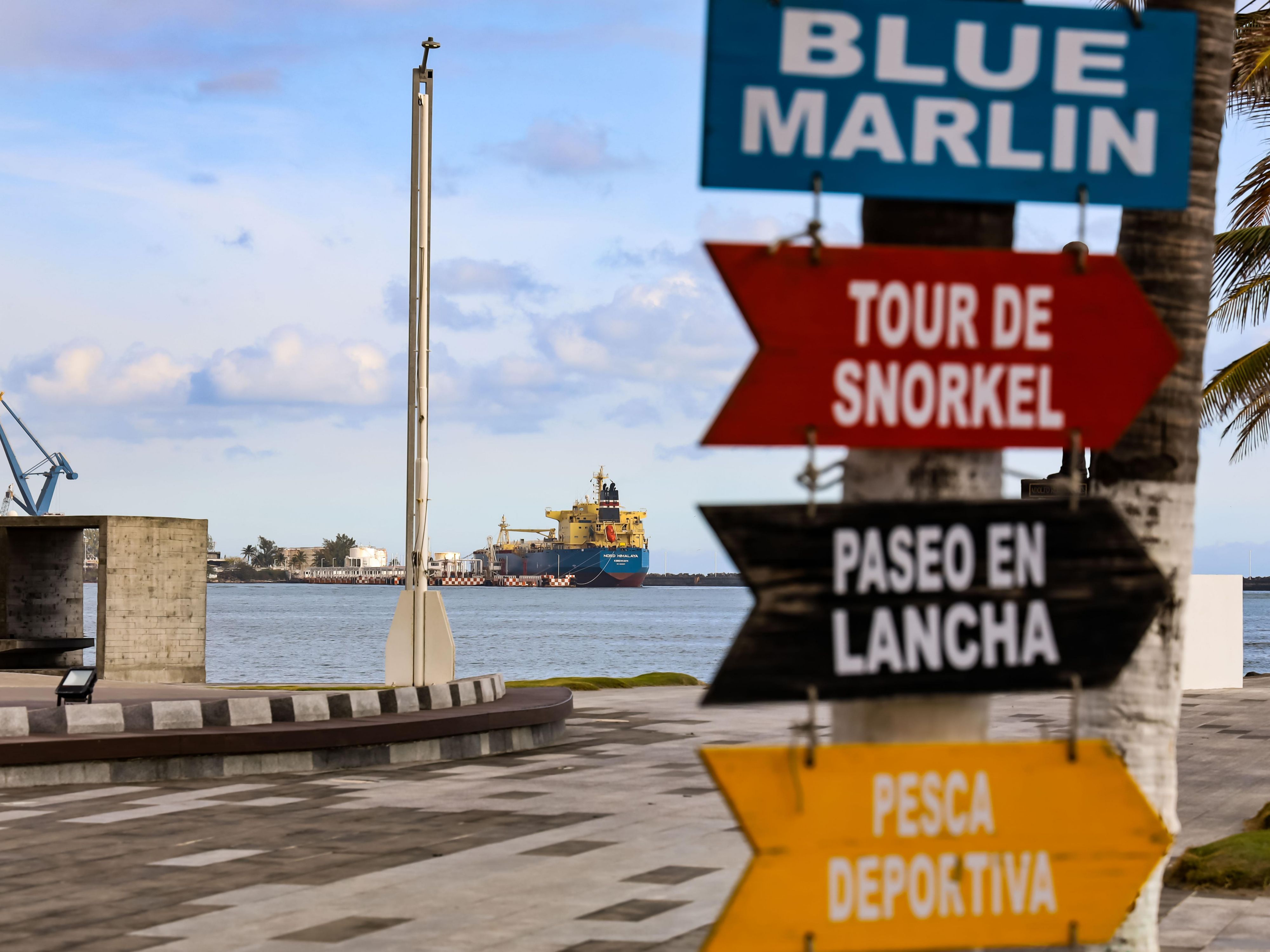 If you are looking for adventure activities in the port, diving is something you have to do in Veracruz. Get to know the world that exists underwater and enjoy it accompanied by the experts who will make you have a wonderful experience in the Veracruz reef park.