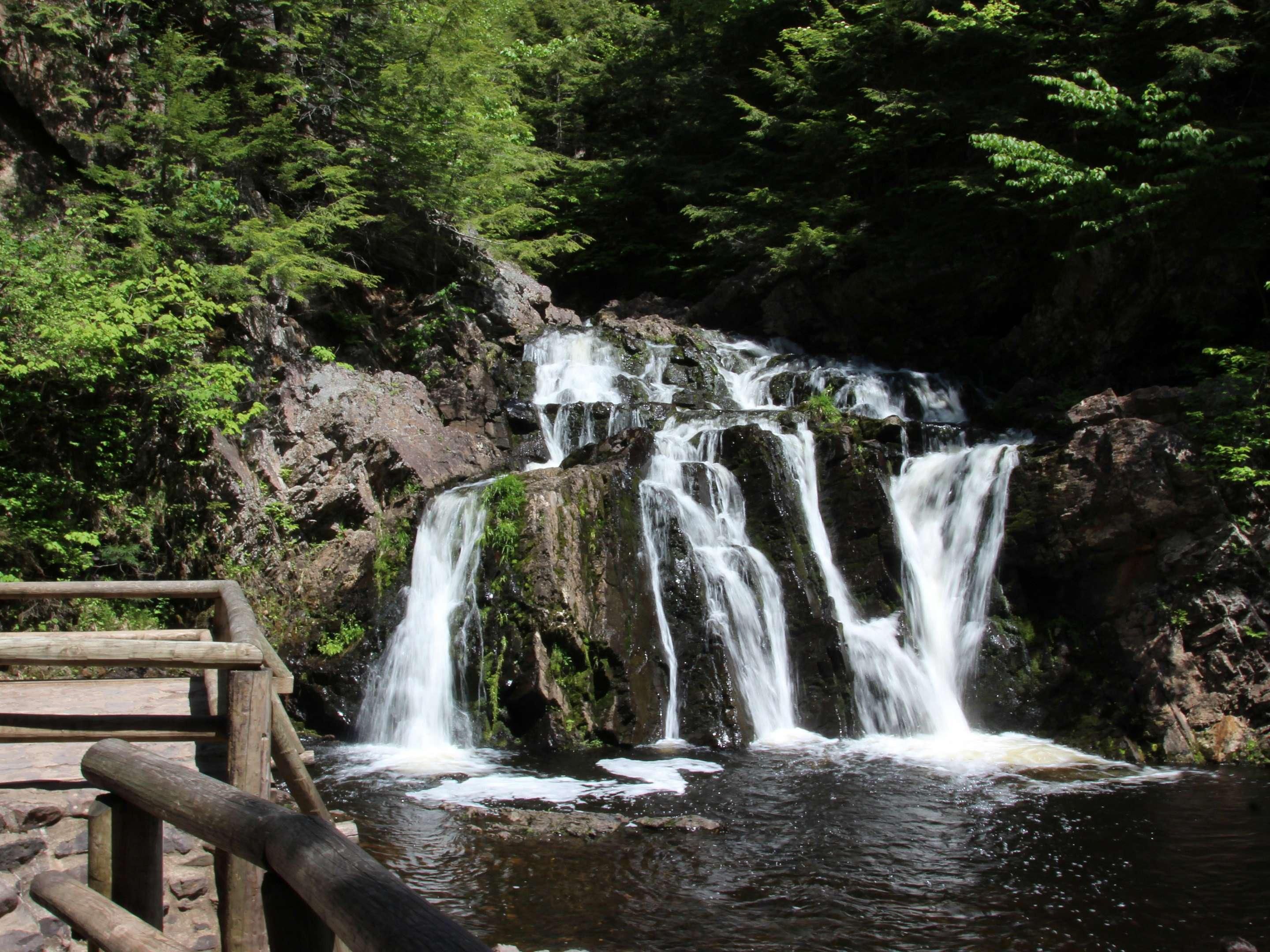 Visitors enjoy water sports, including boating, water skiing, swimming, and sailing on the 12,080-acre, man-made Allegheny Reservoir. Anglers can find walleye, bass, and musky.
A courtesy dock is provided at the boat launch for easier loading and unloading during the summer season. Kayak and canoe rentals are also available on site.