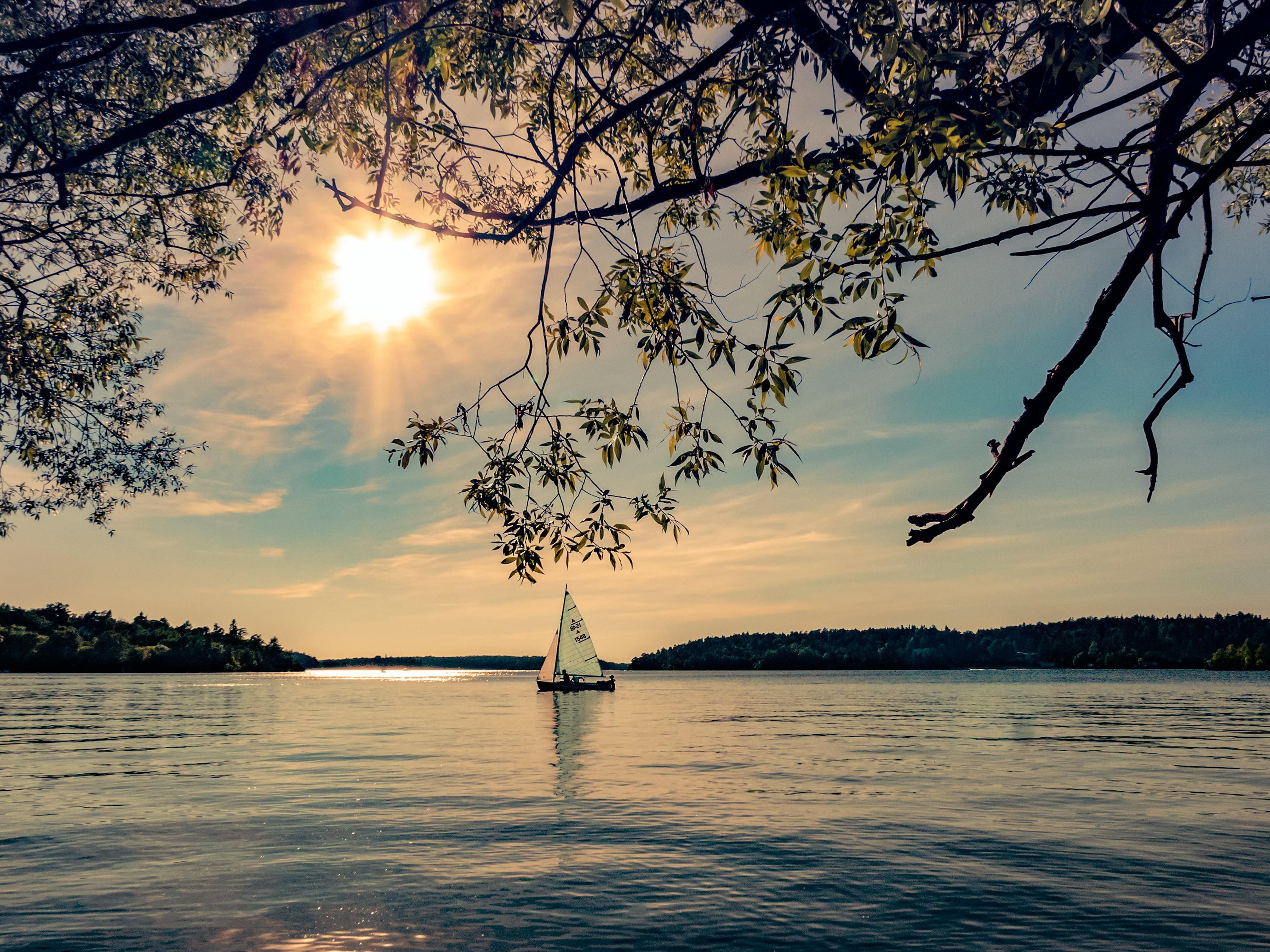 Wine, dine, and discover the beauty of the Finger Lakes conveniently located just a short distance from our hotel in Canandaigua with local restaurants and wineries just for you.